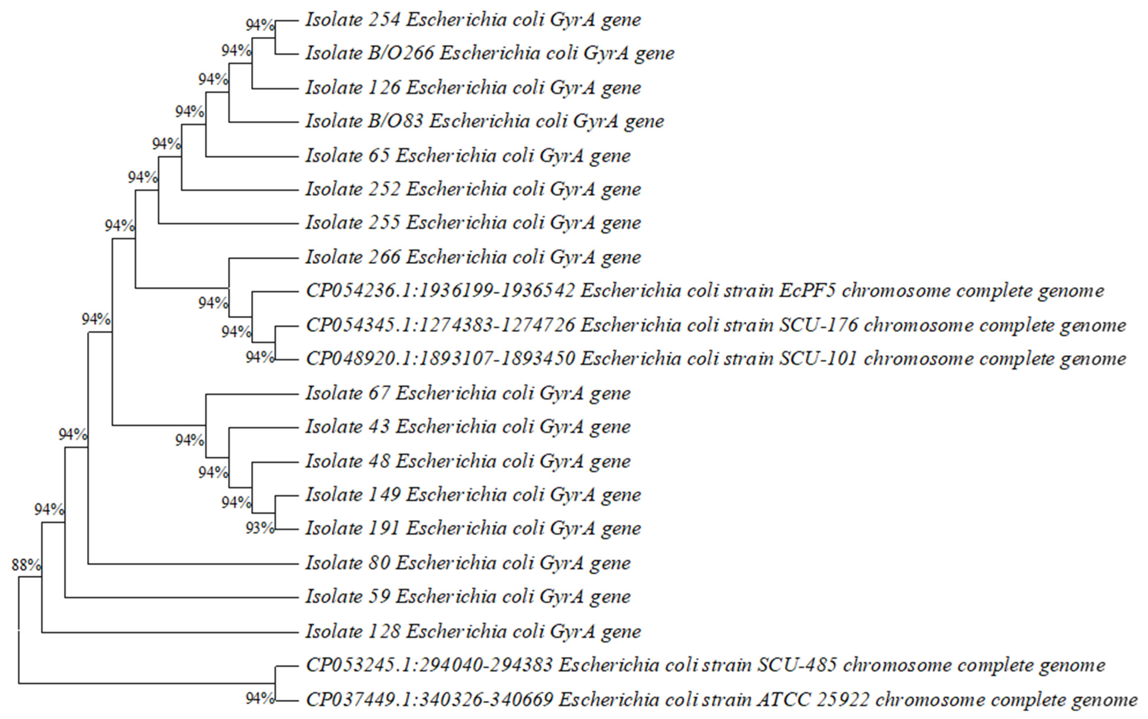 Diagnostics 13 01505 g001