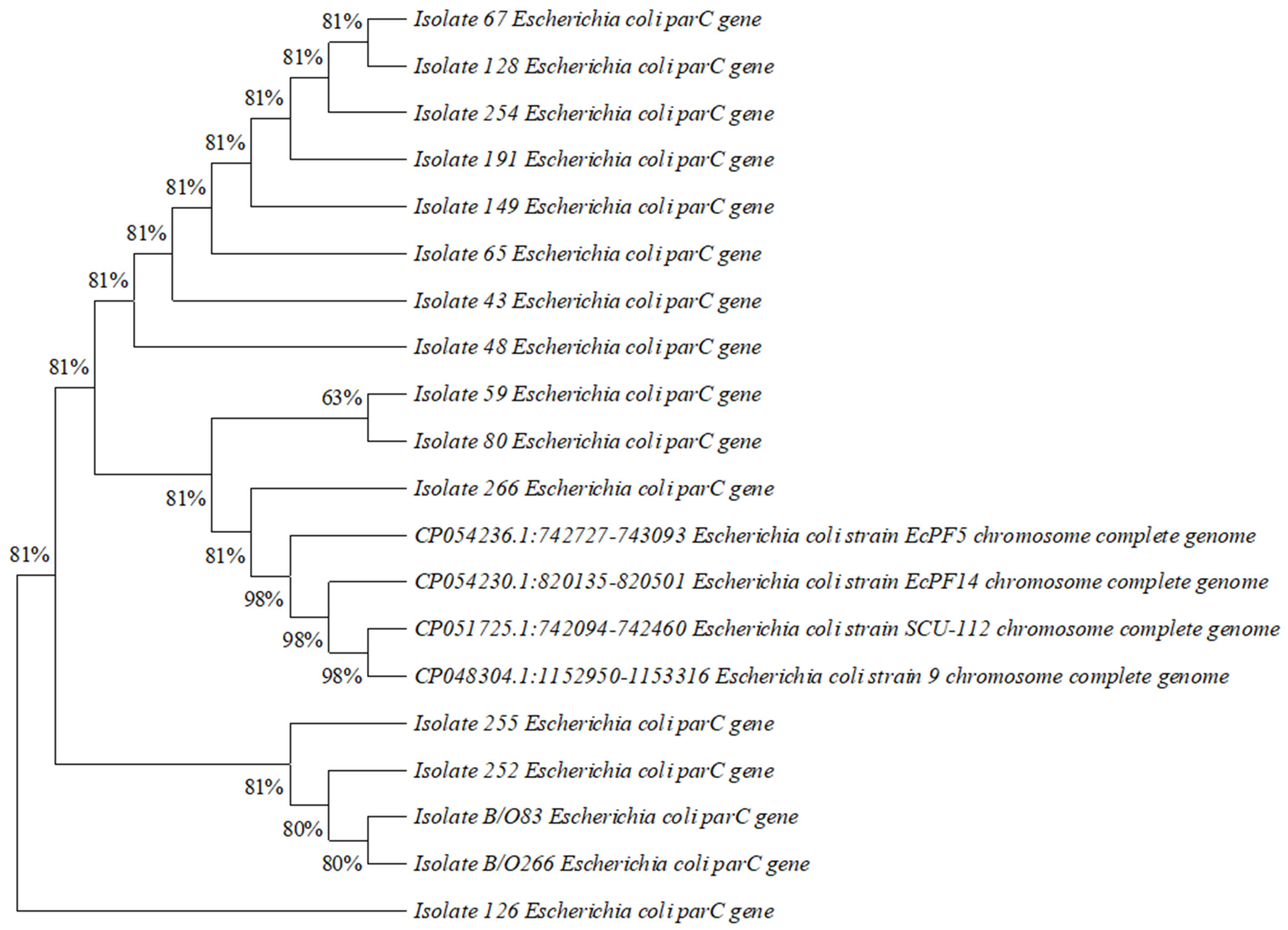 Diagnostics 13 01505 g002