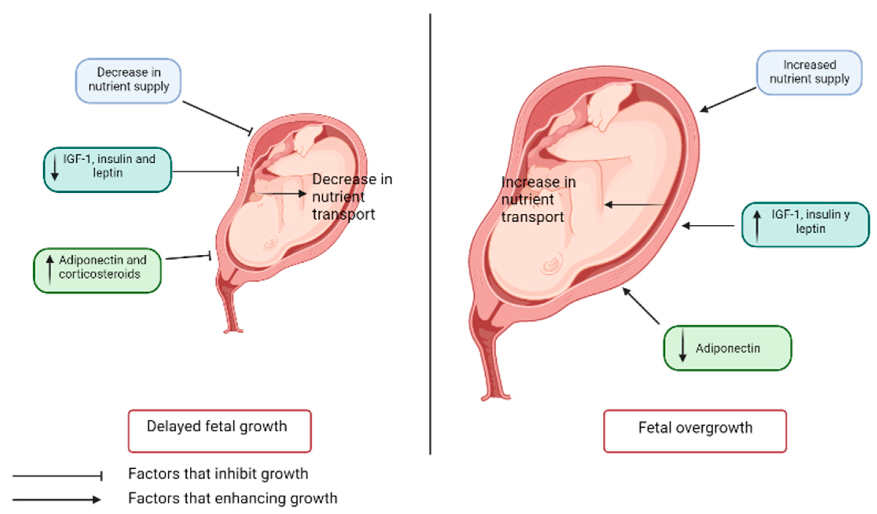 Diagnostics 13 01510 g002 Diagnostics 13 01510 g002