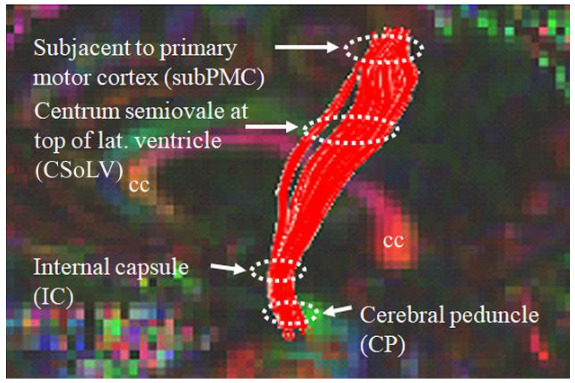 Diagnostics 13 01521 g002