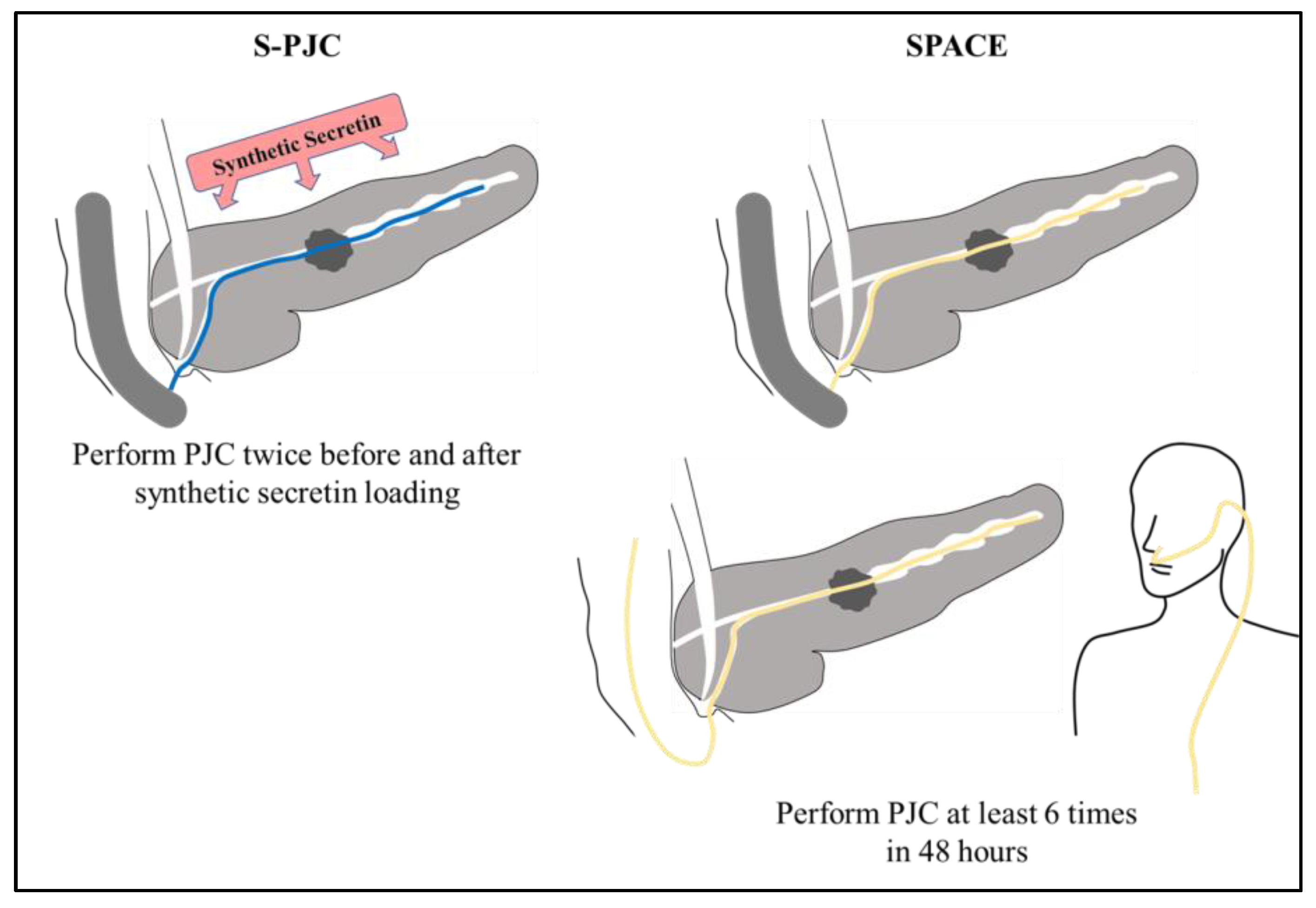Diagnostics 13 01536 g001