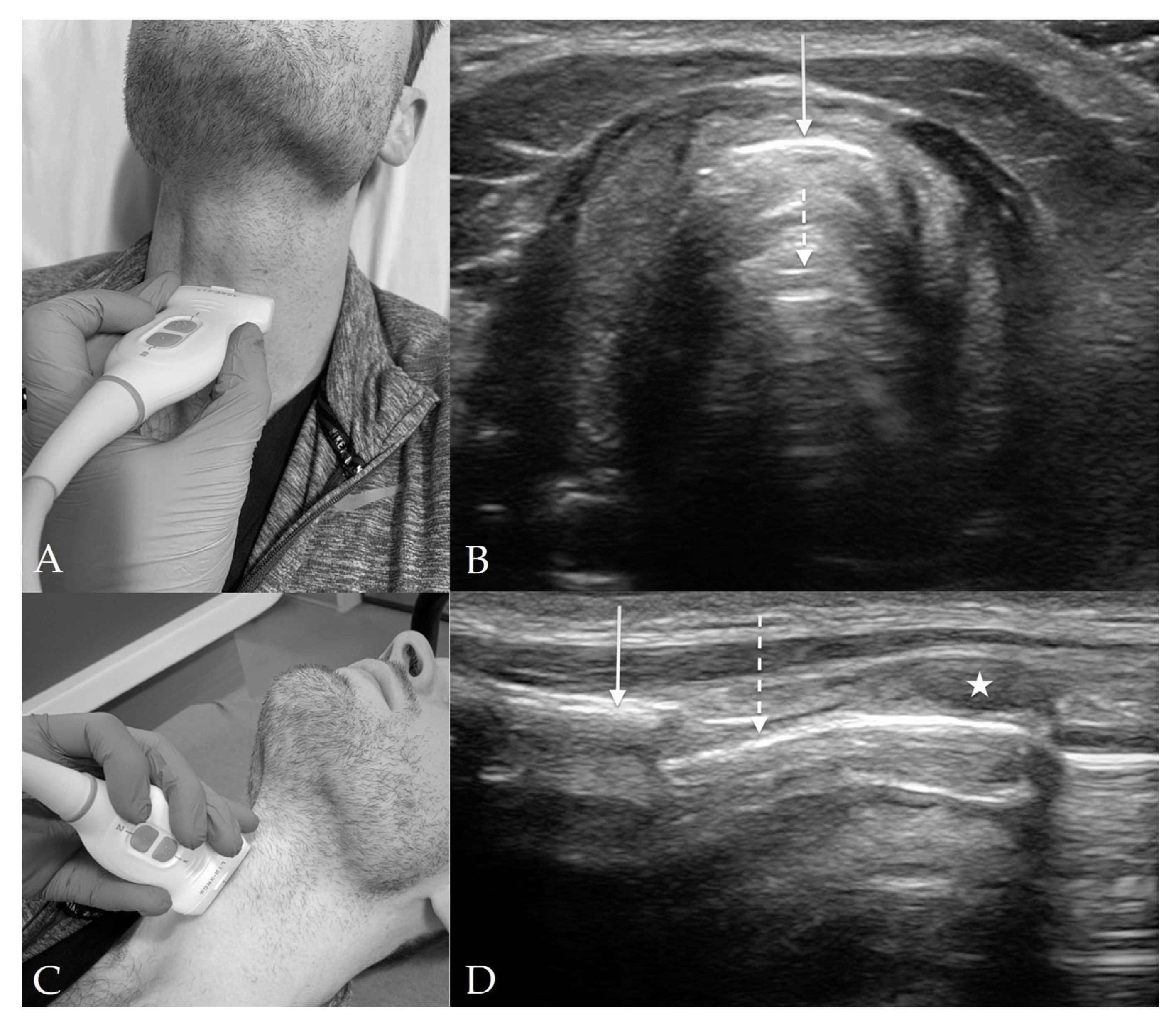 Diagnostics 13 01541 g005