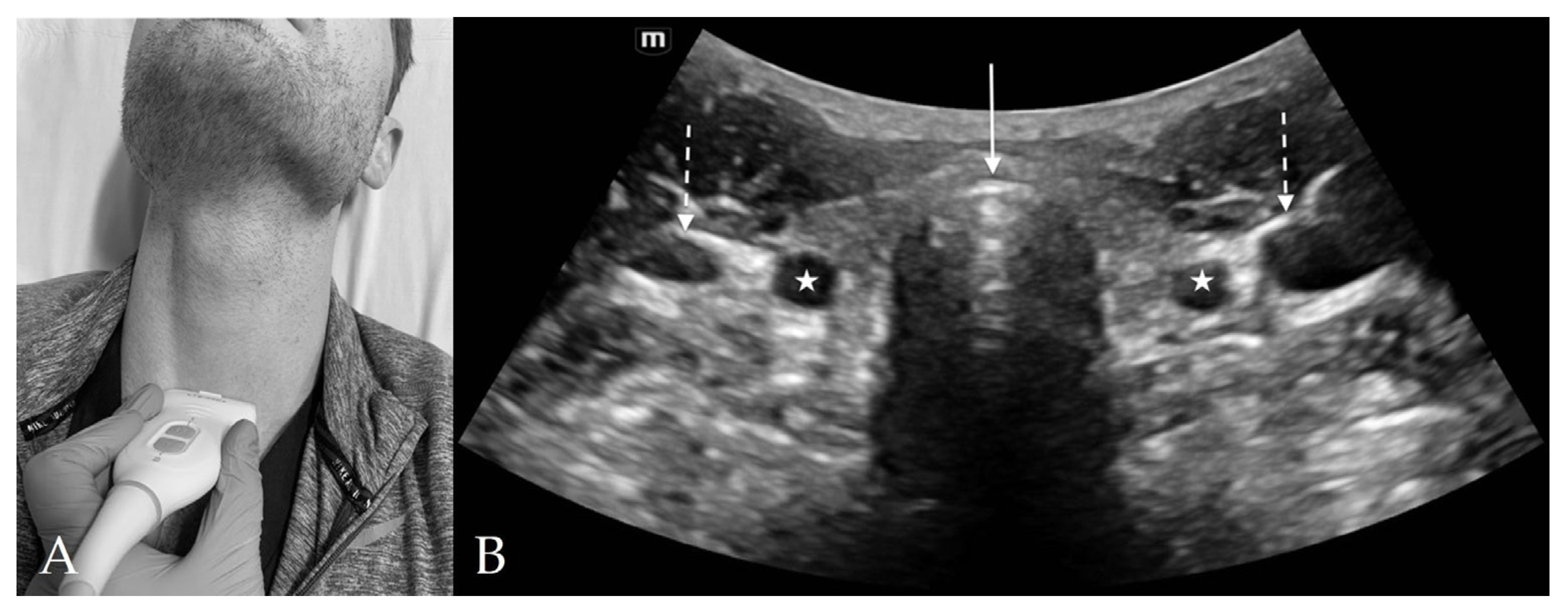 Diagnostics 13 01541 g006