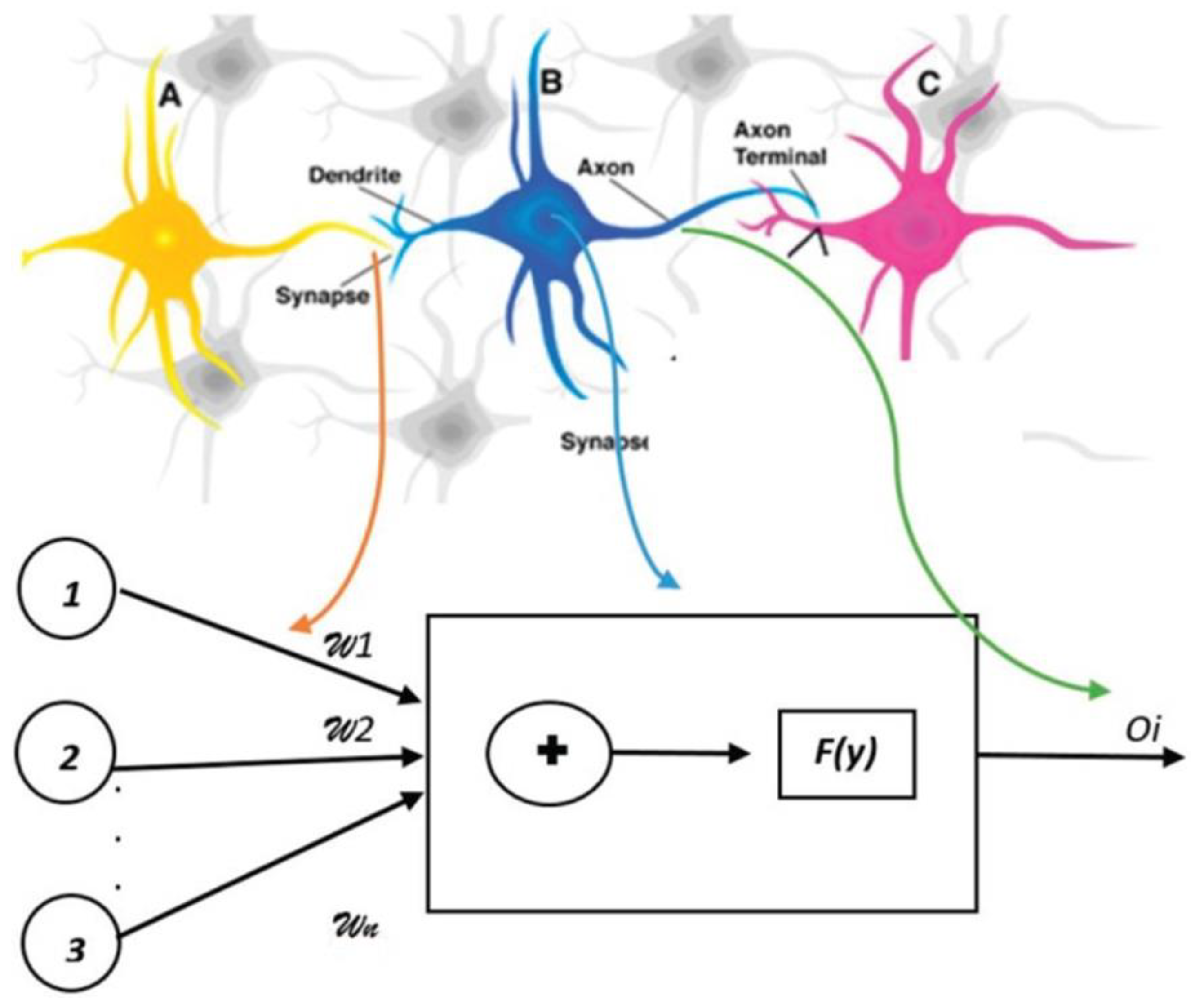 Diagnostics 13 01551 g003 Diagnostics 13 01551 g003