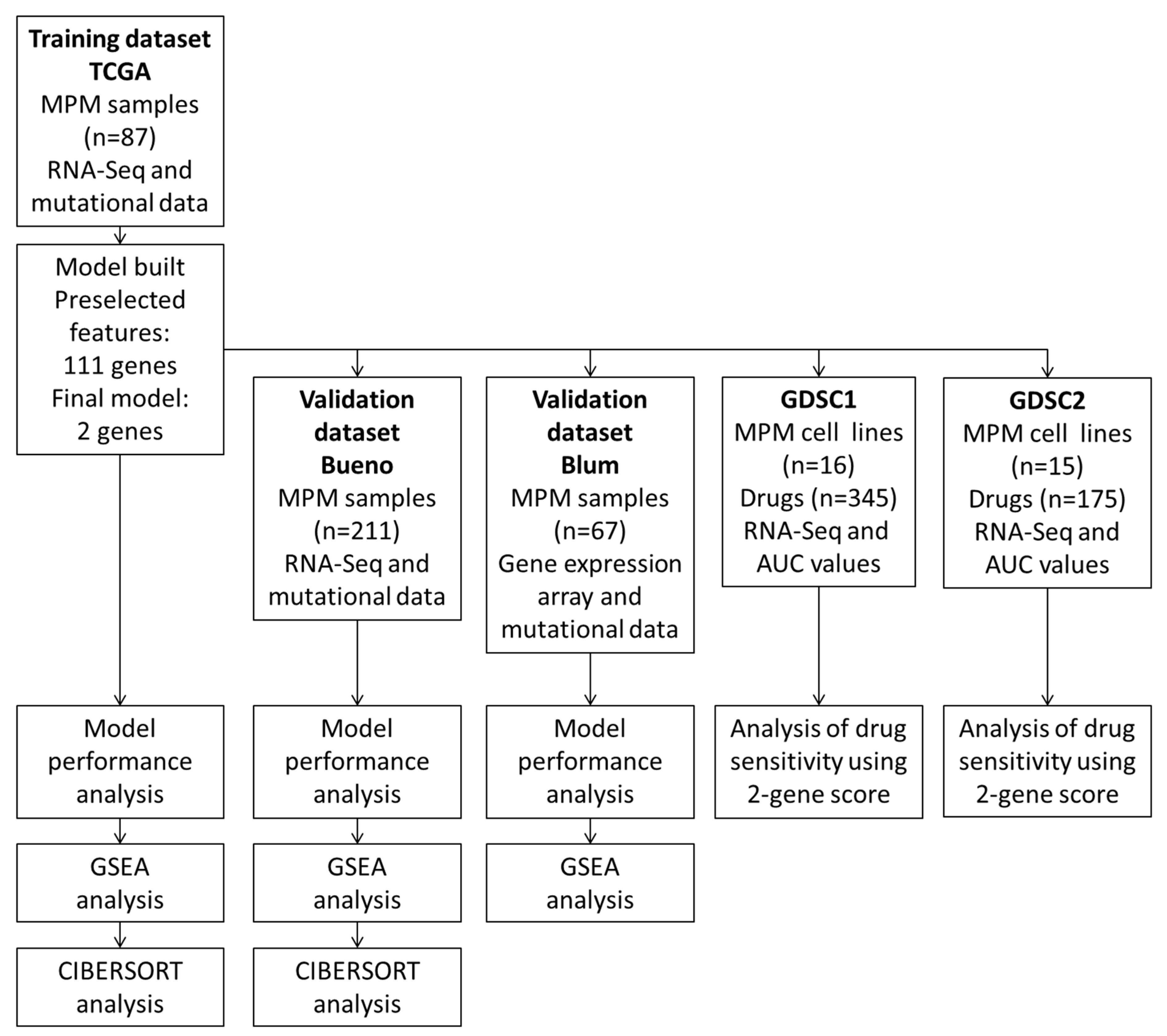 Diagnostics 13 01556 g001
