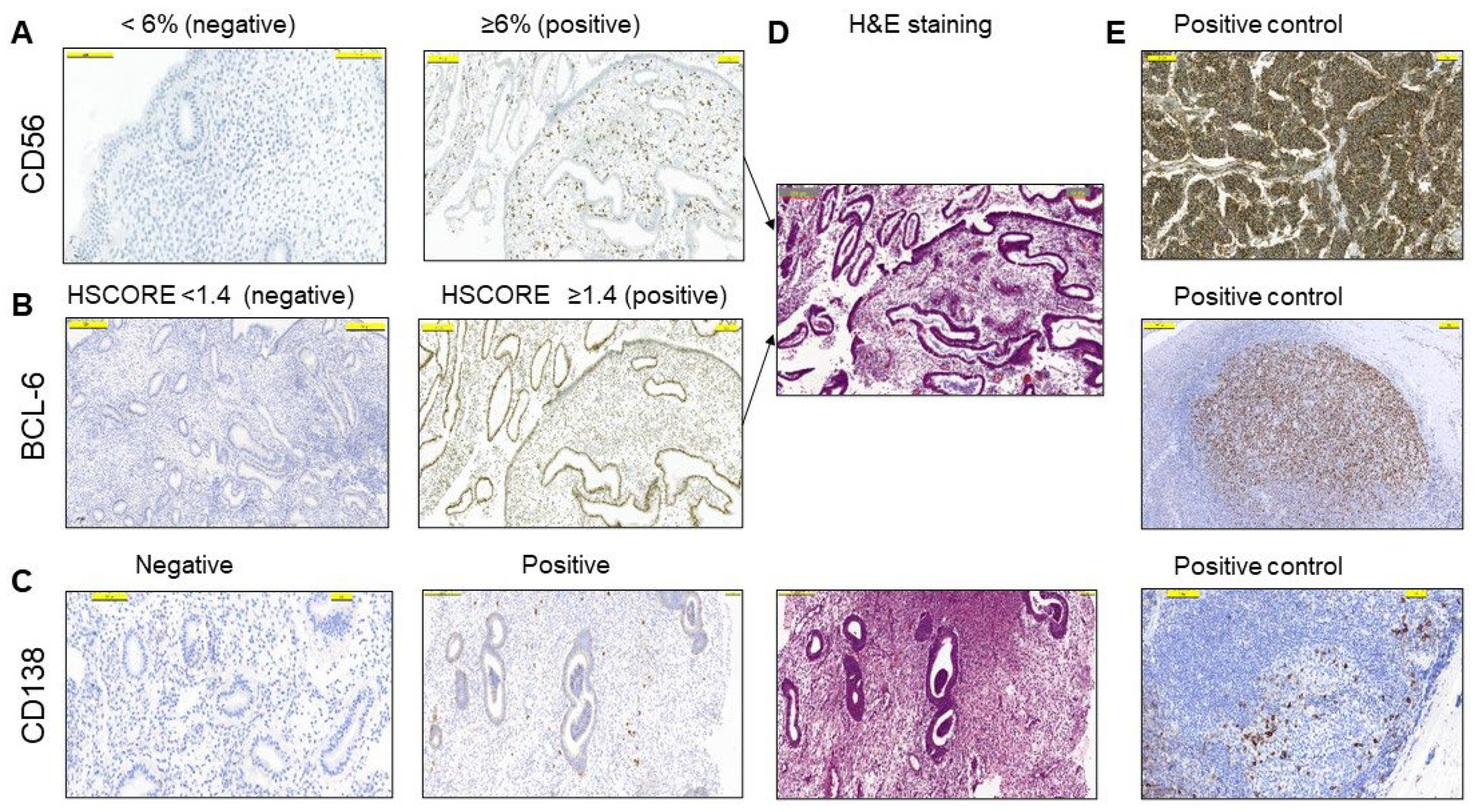Diagnostics 13 01557 g001