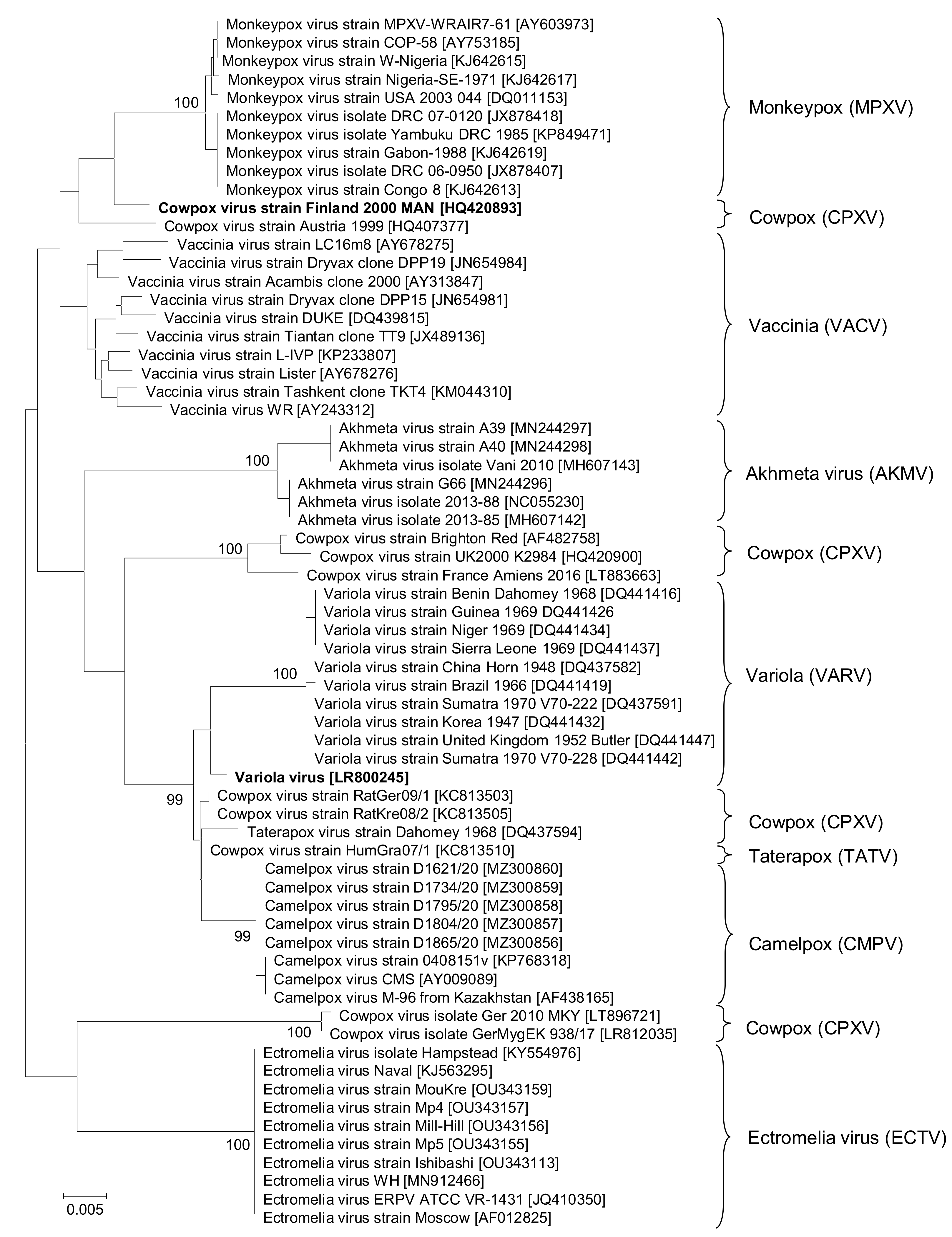 Diagnostics 13 01560 g001 Diagnostics 13 01560 g001