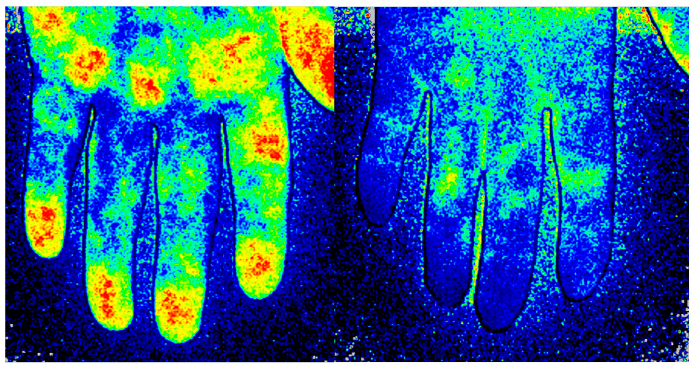 Diagnostics 13 01566 g001 Diagnostics 13 01566 g001
