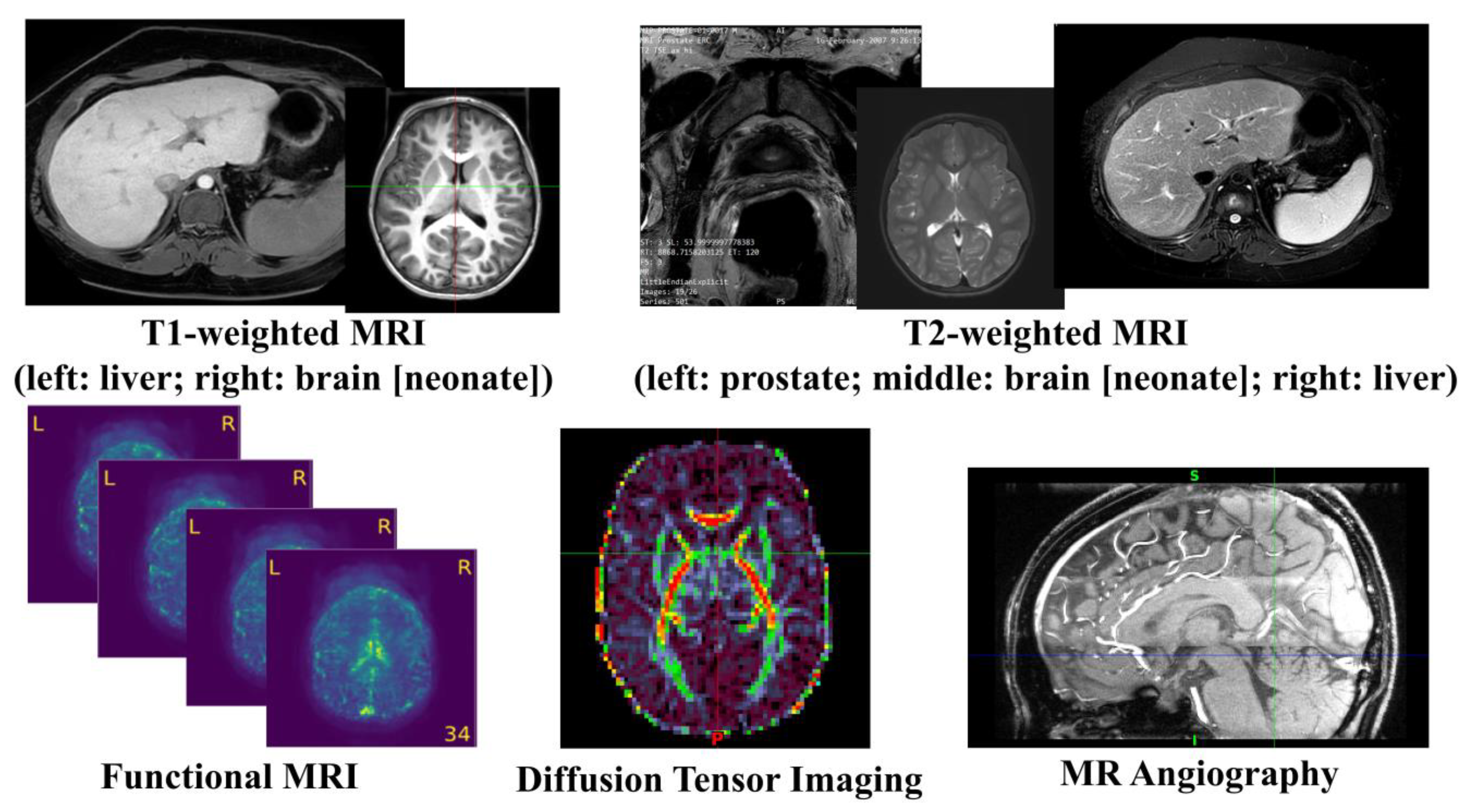 Diagnostics 13 01571 g002