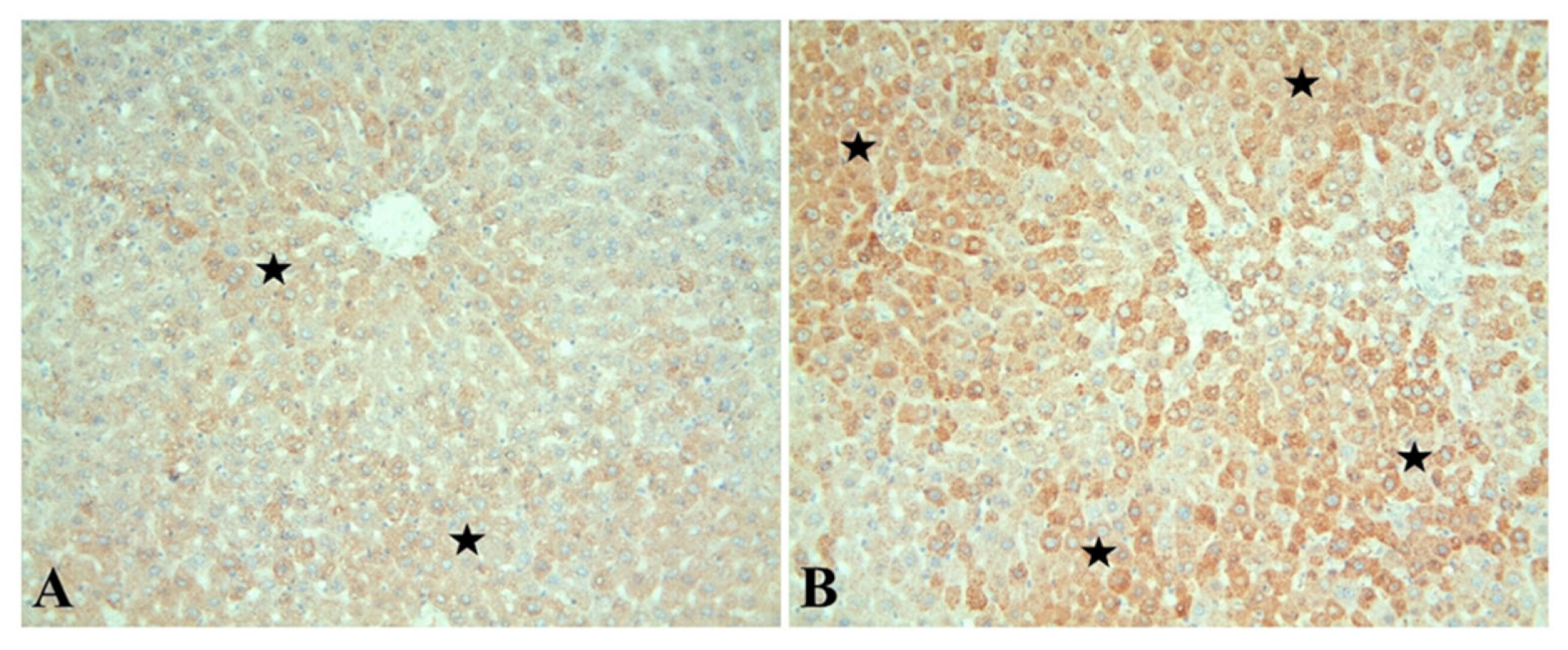 Diagnostics 13 01583 g002