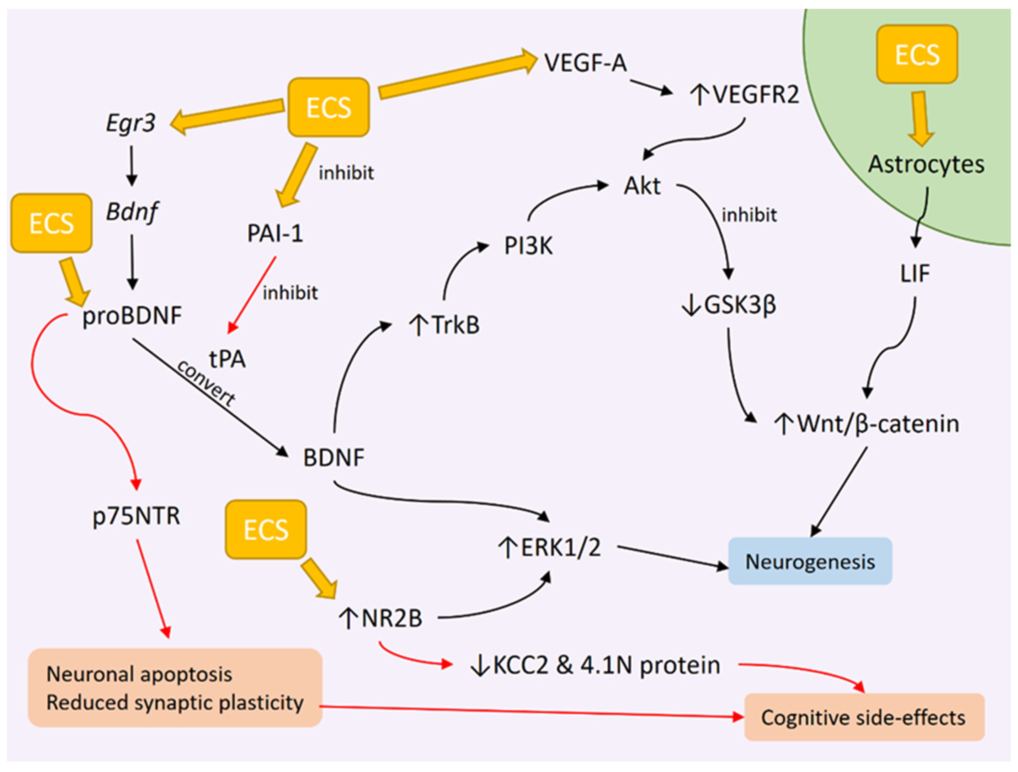 Diagnostics 13 01585 g001