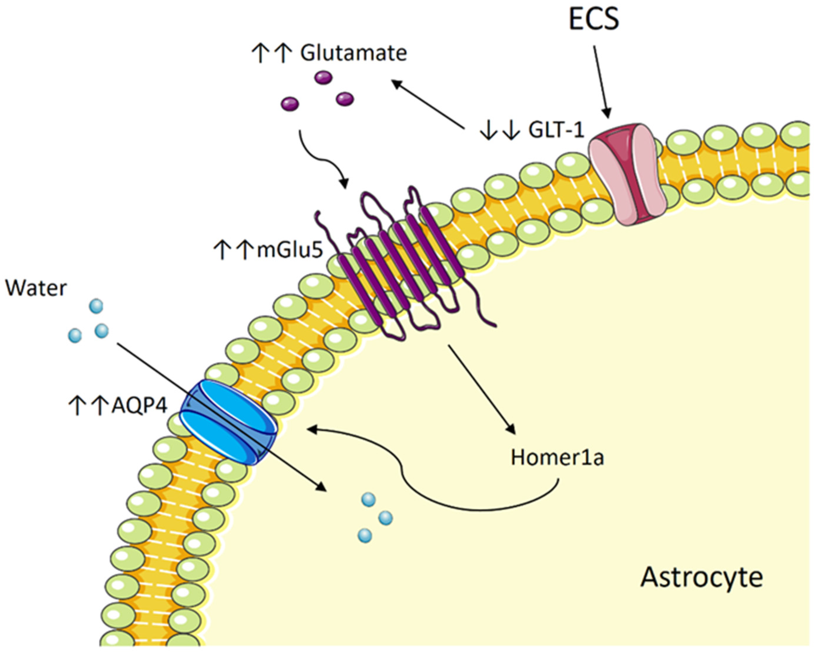 Diagnostics 13 01585 g002