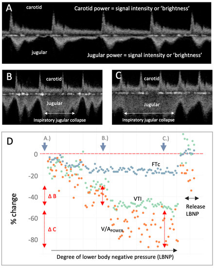 Diagnostics 13 01590 g003 550