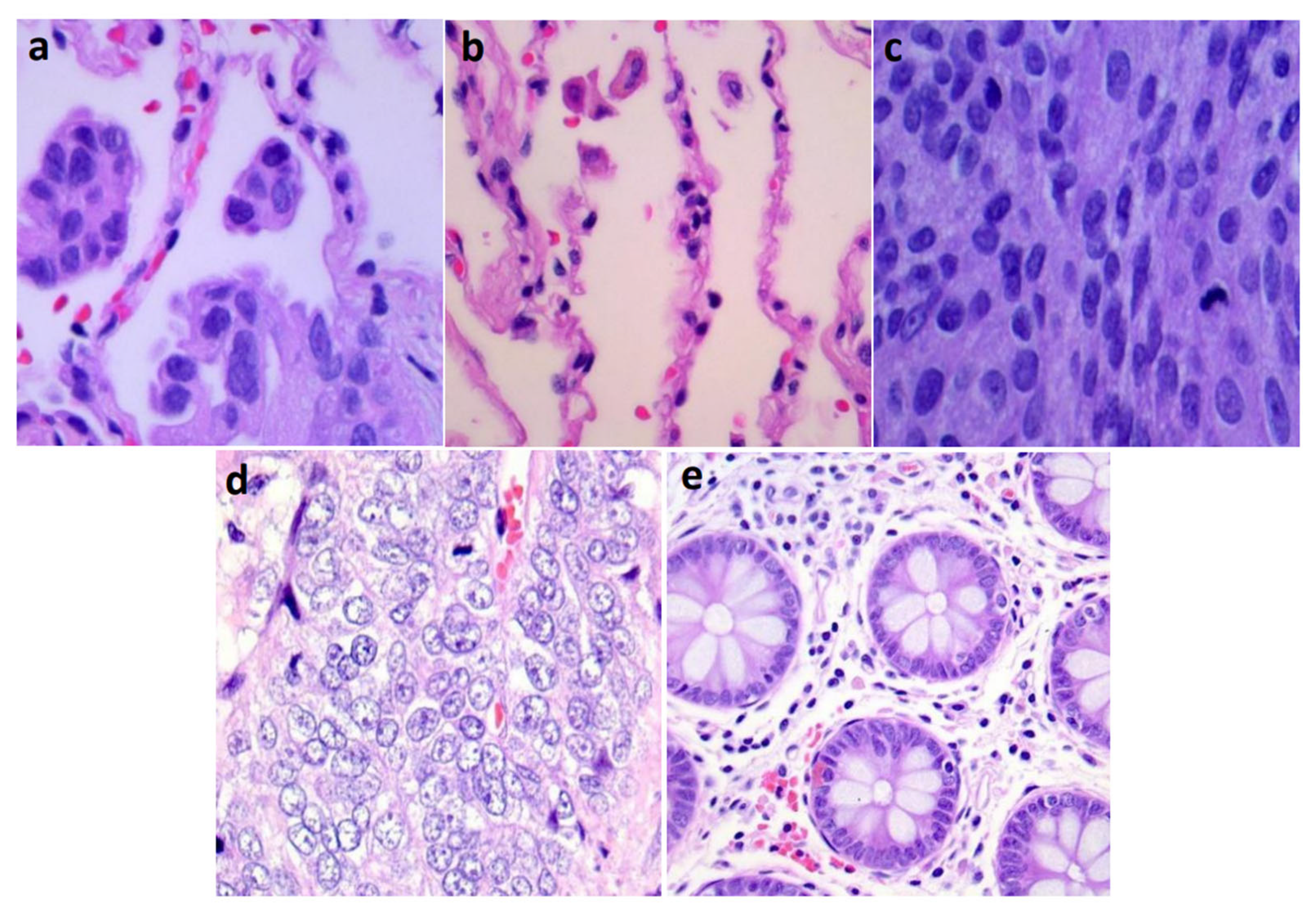 Diagnostics 13 01594 g001 Diagnostics 13 01594 g001