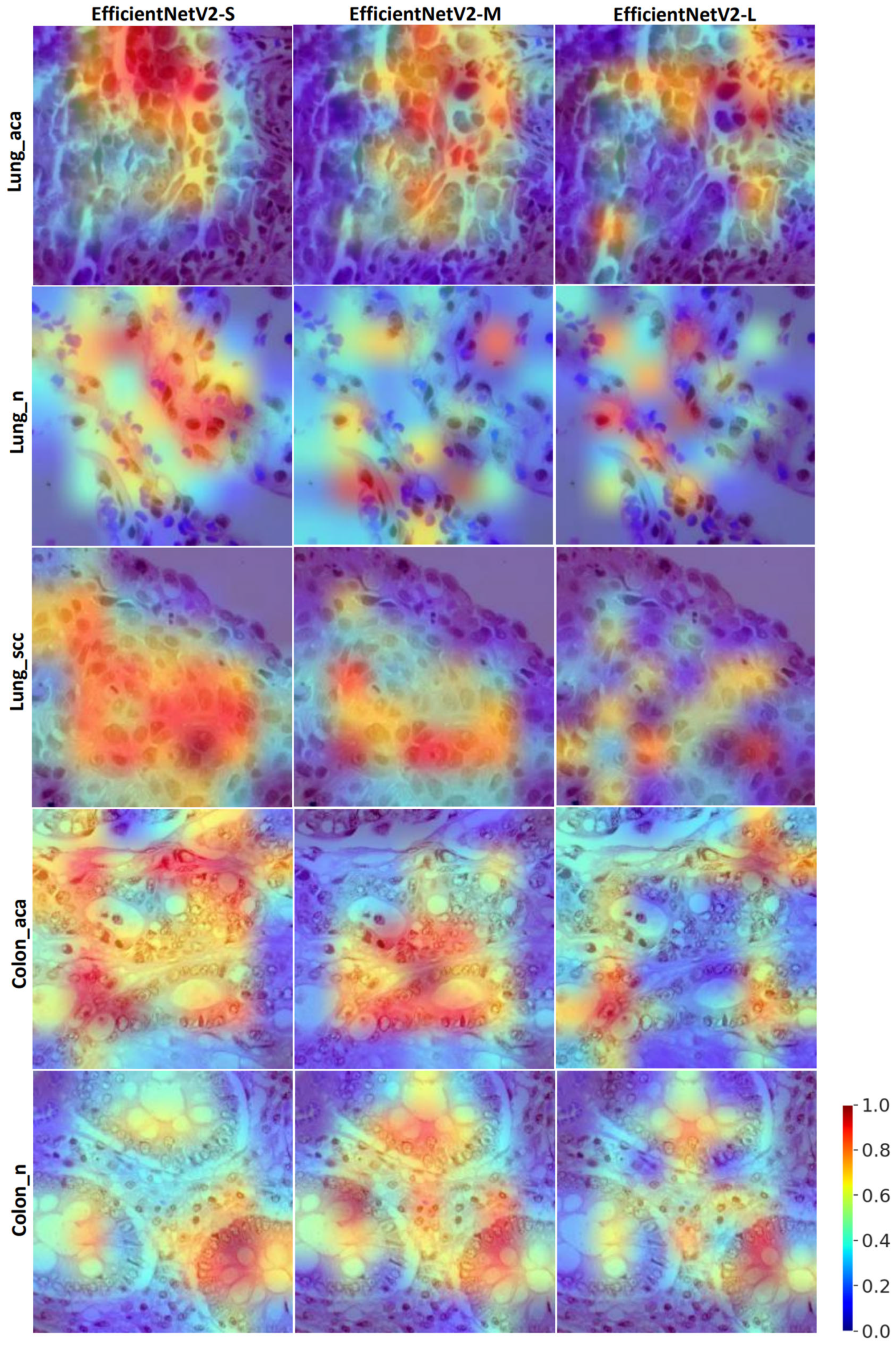 Diagnostics 13 01594 g004 Diagnostics 13 01594 g004