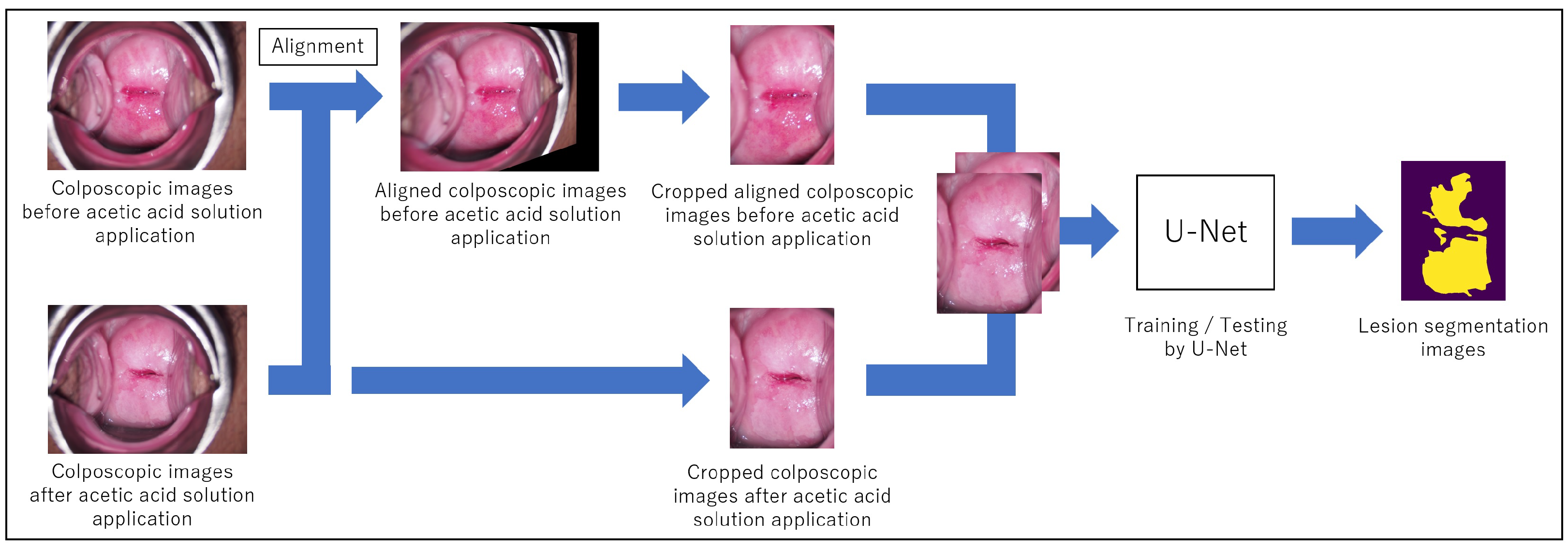 Diagnostics 13 01596 g001
