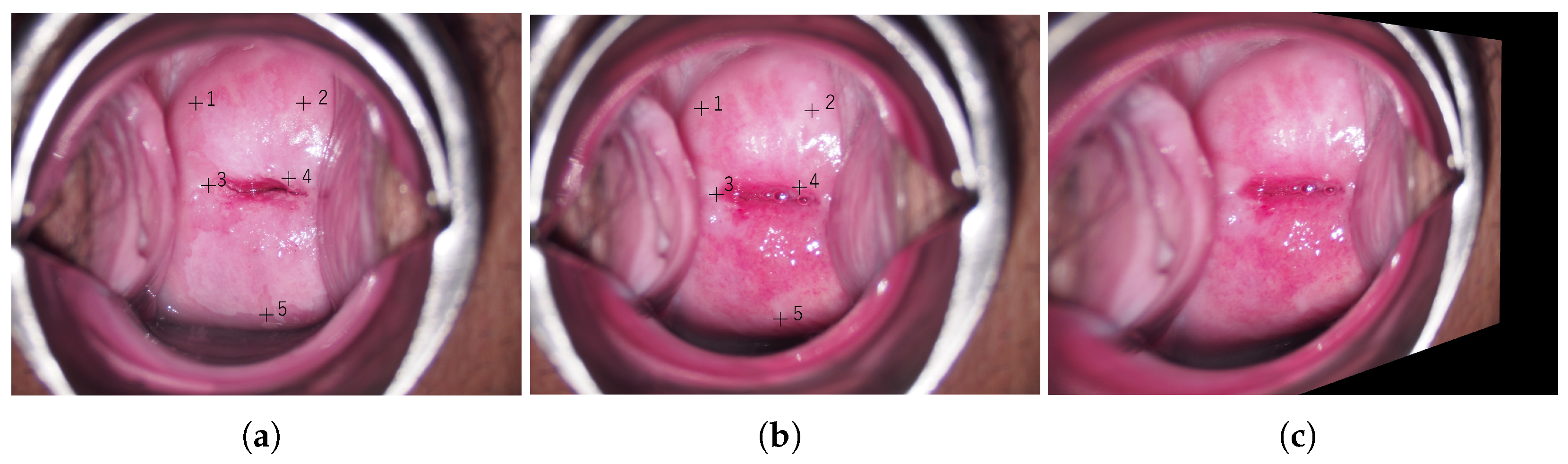 Diagnostics 13 01596 g002