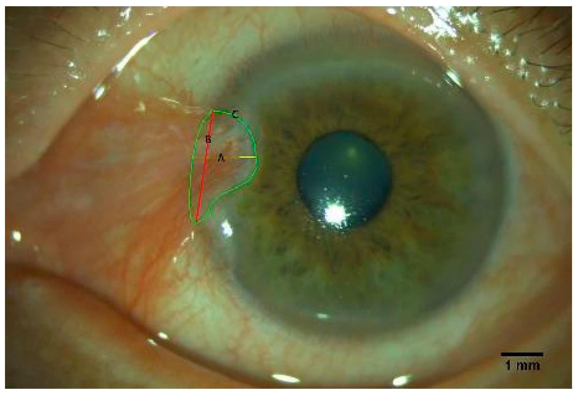 Diagnostics 13 01603 g001 Diagnostics 13 01603 g001