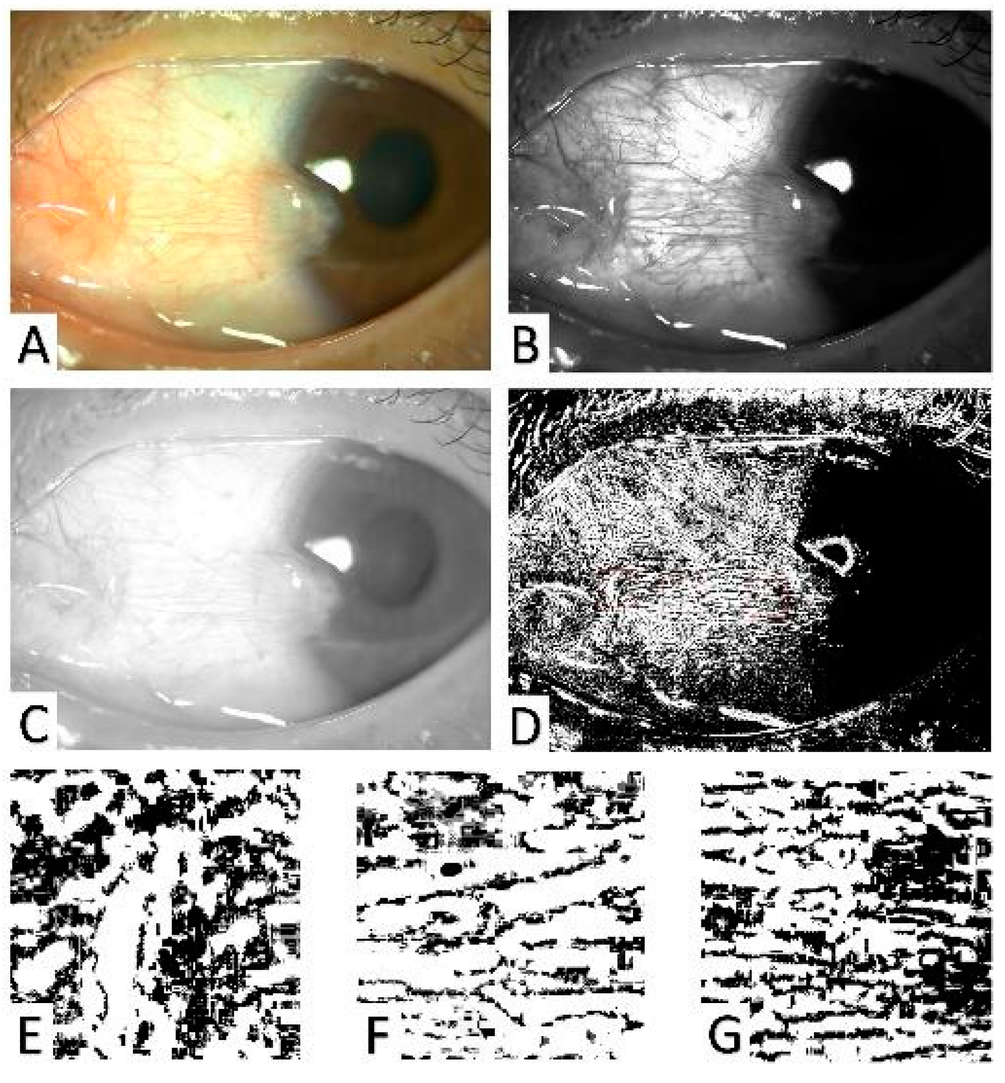 Diagnostics 13 01603 g002 Diagnostics 13 01603 g002