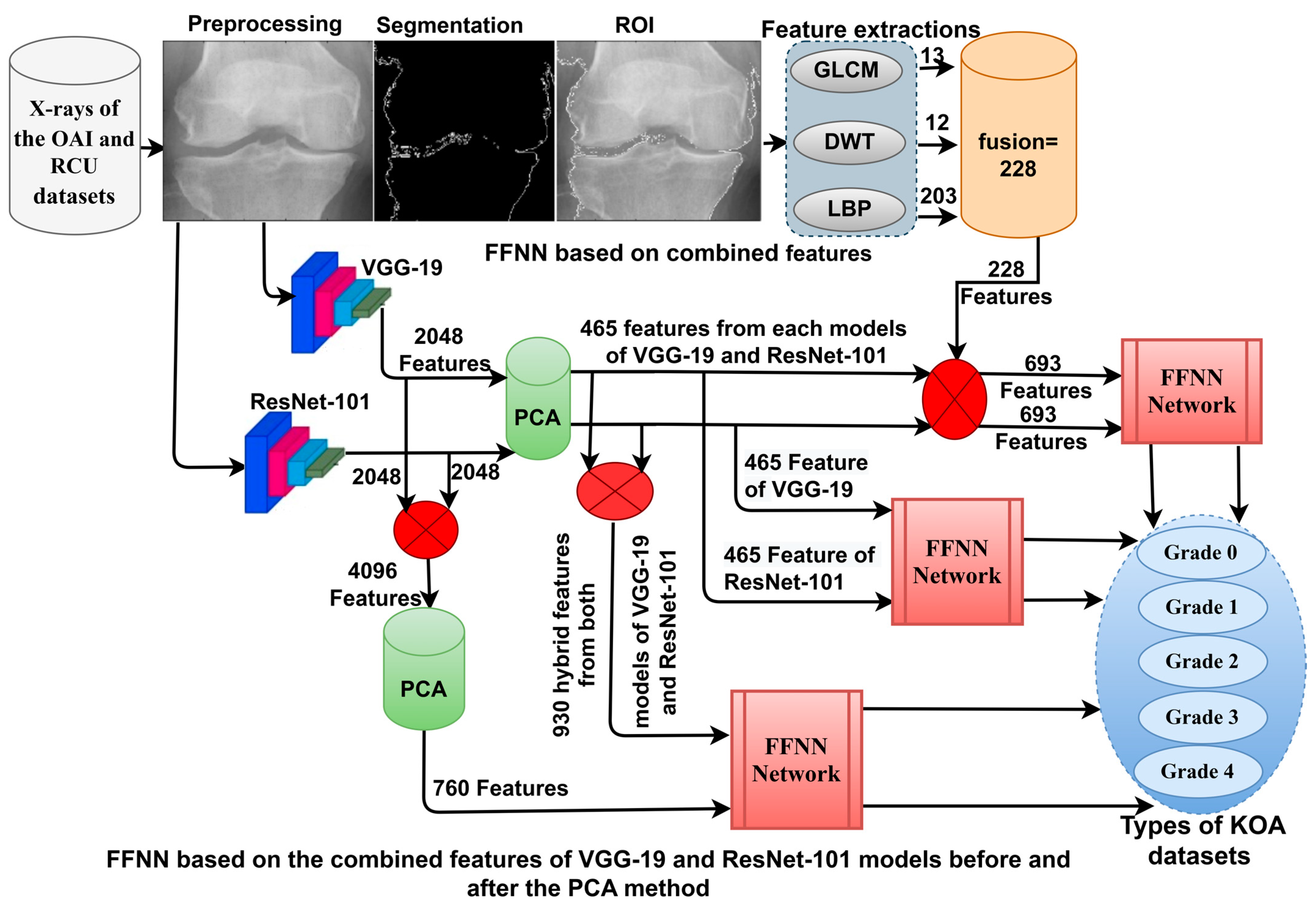 Diagnostics 13 01609 g001