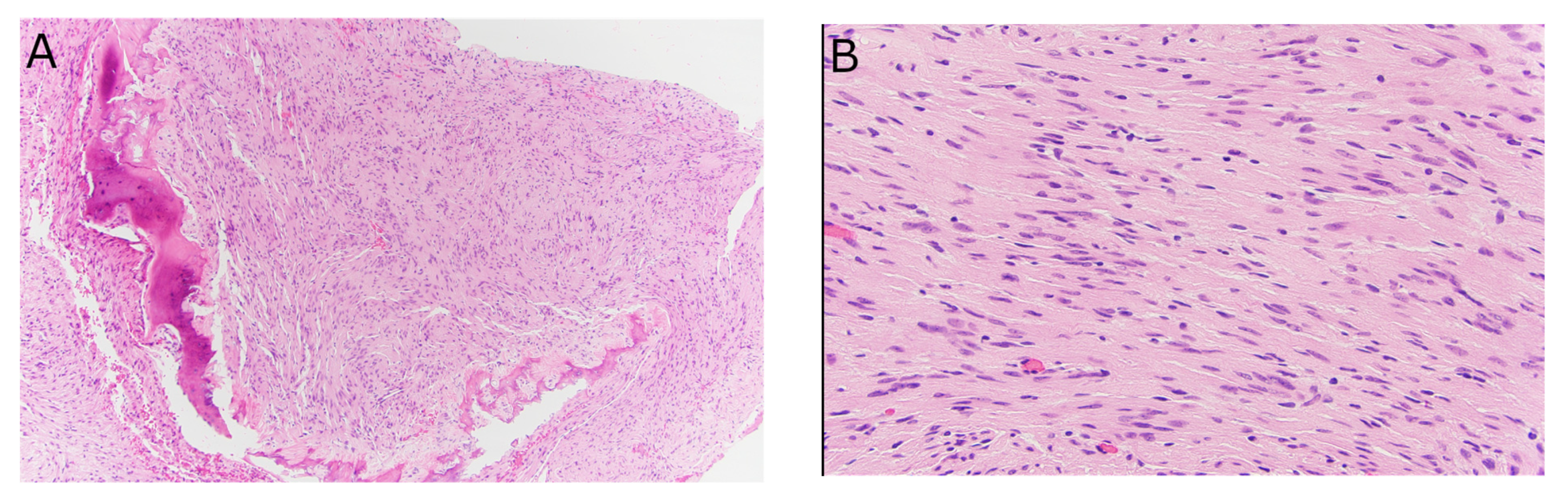 Diagnostics 13 01610 g004