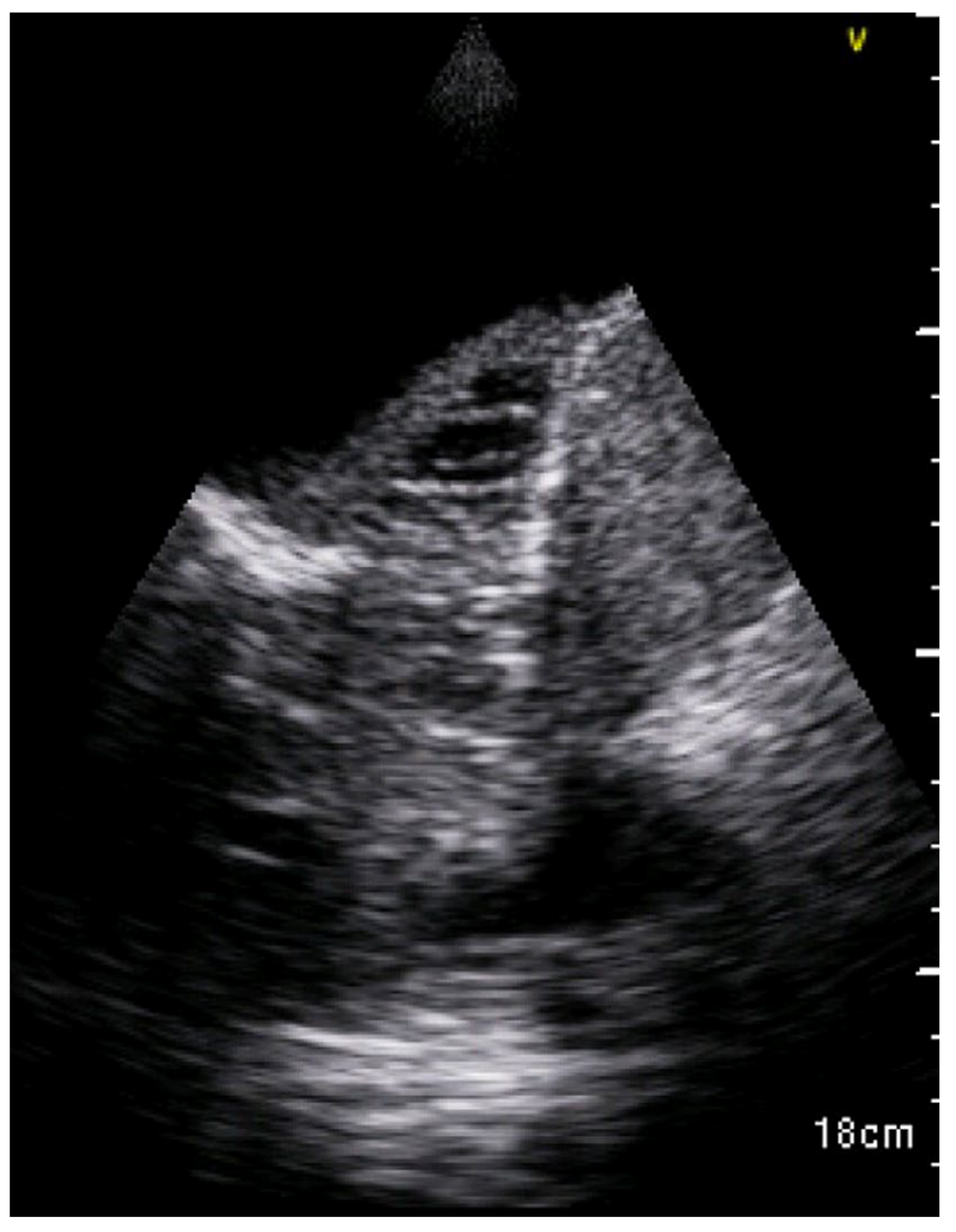 Diagnostics 13 01612 g013