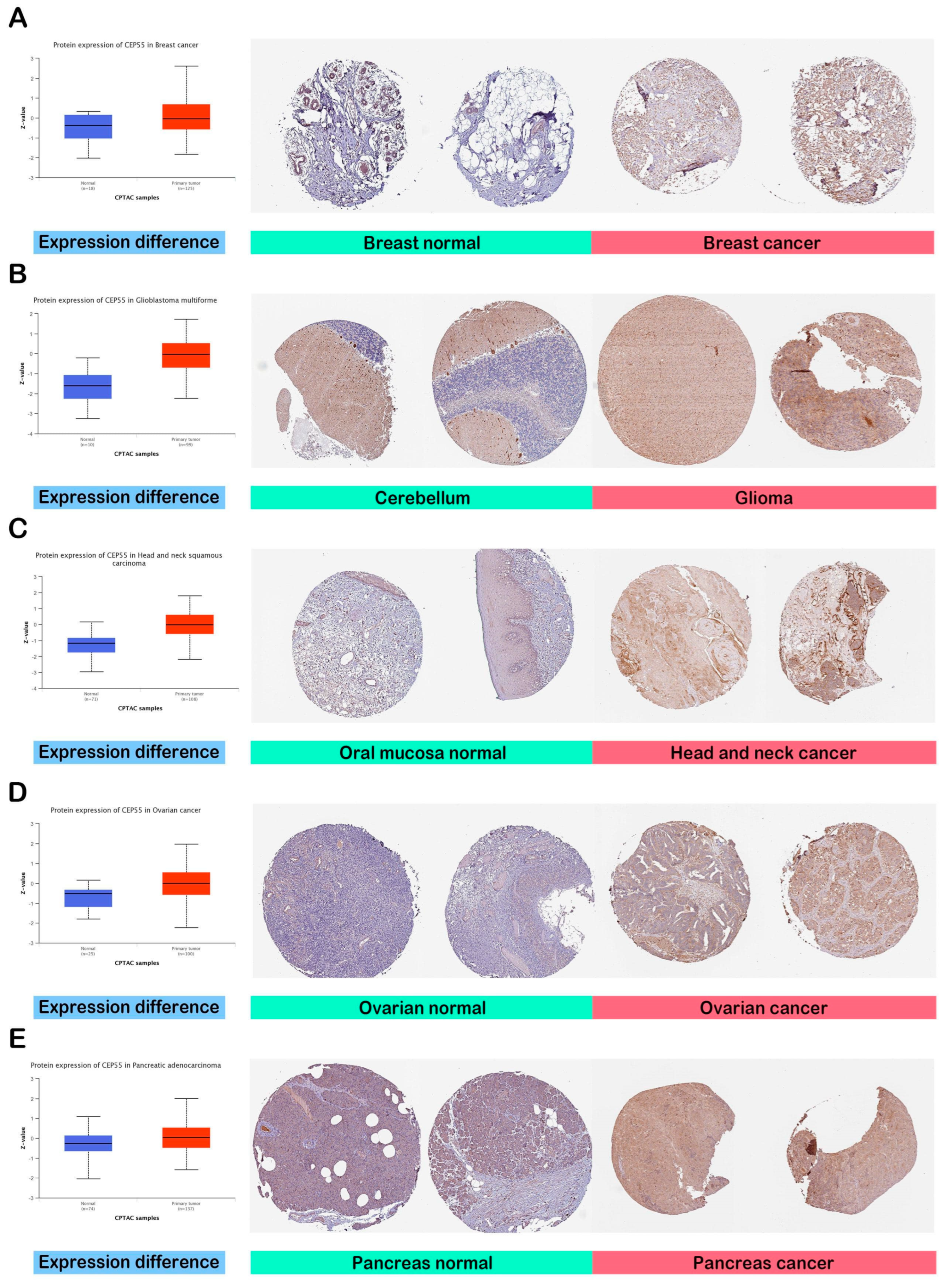 Diagnostics 13 01613 g002