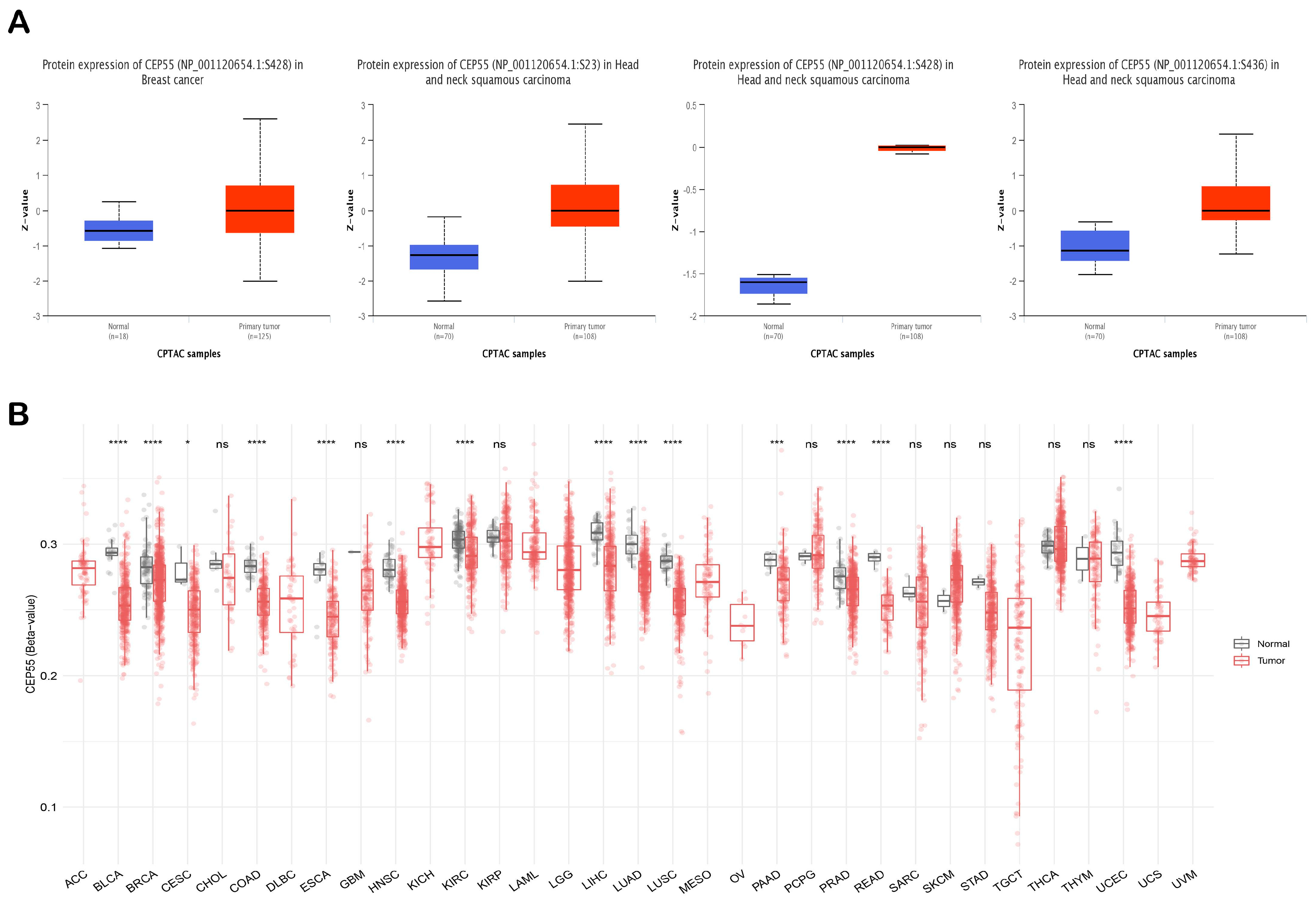 Diagnostics 13 01613 g005