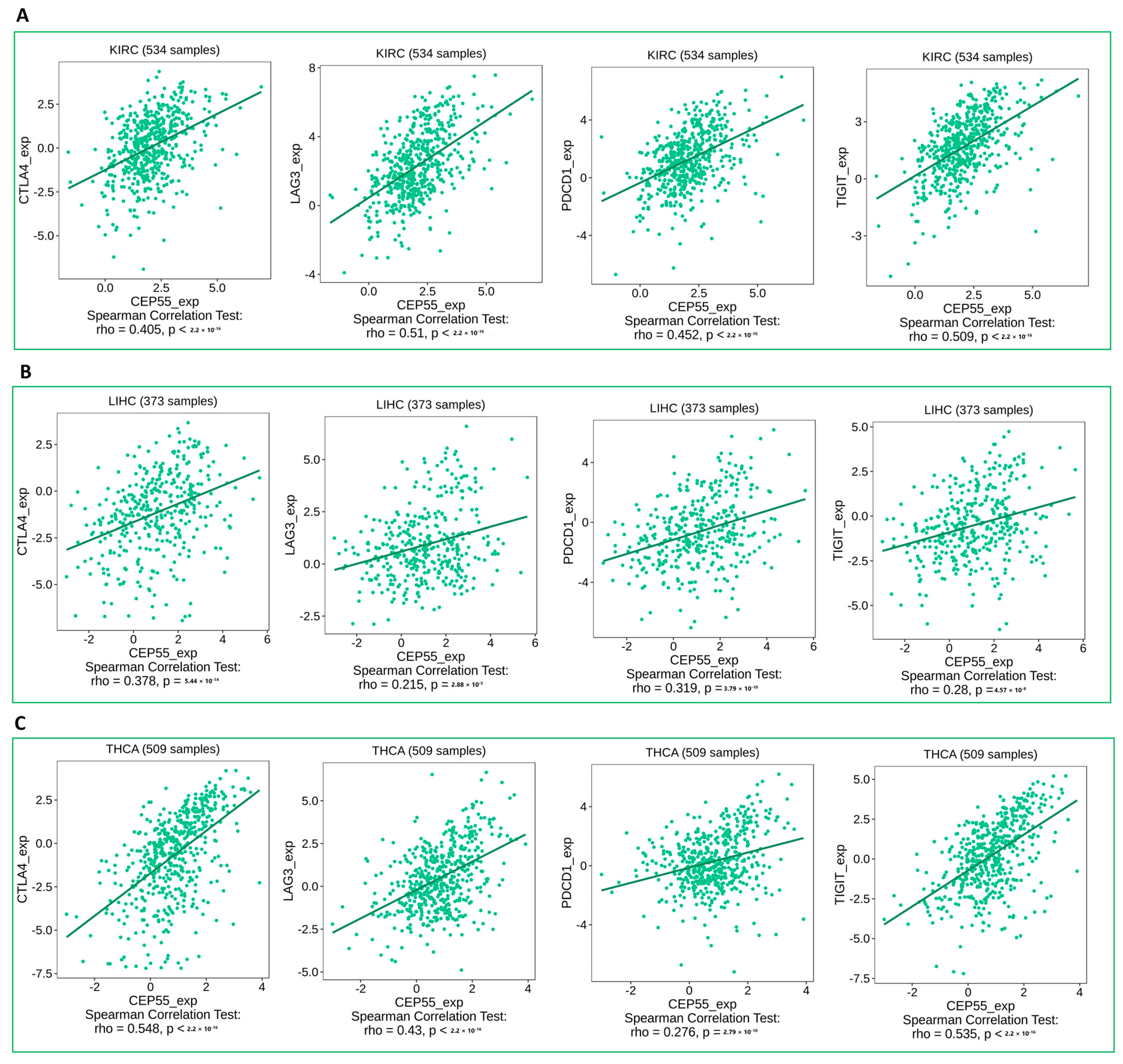 Diagnostics 13 01613 g007