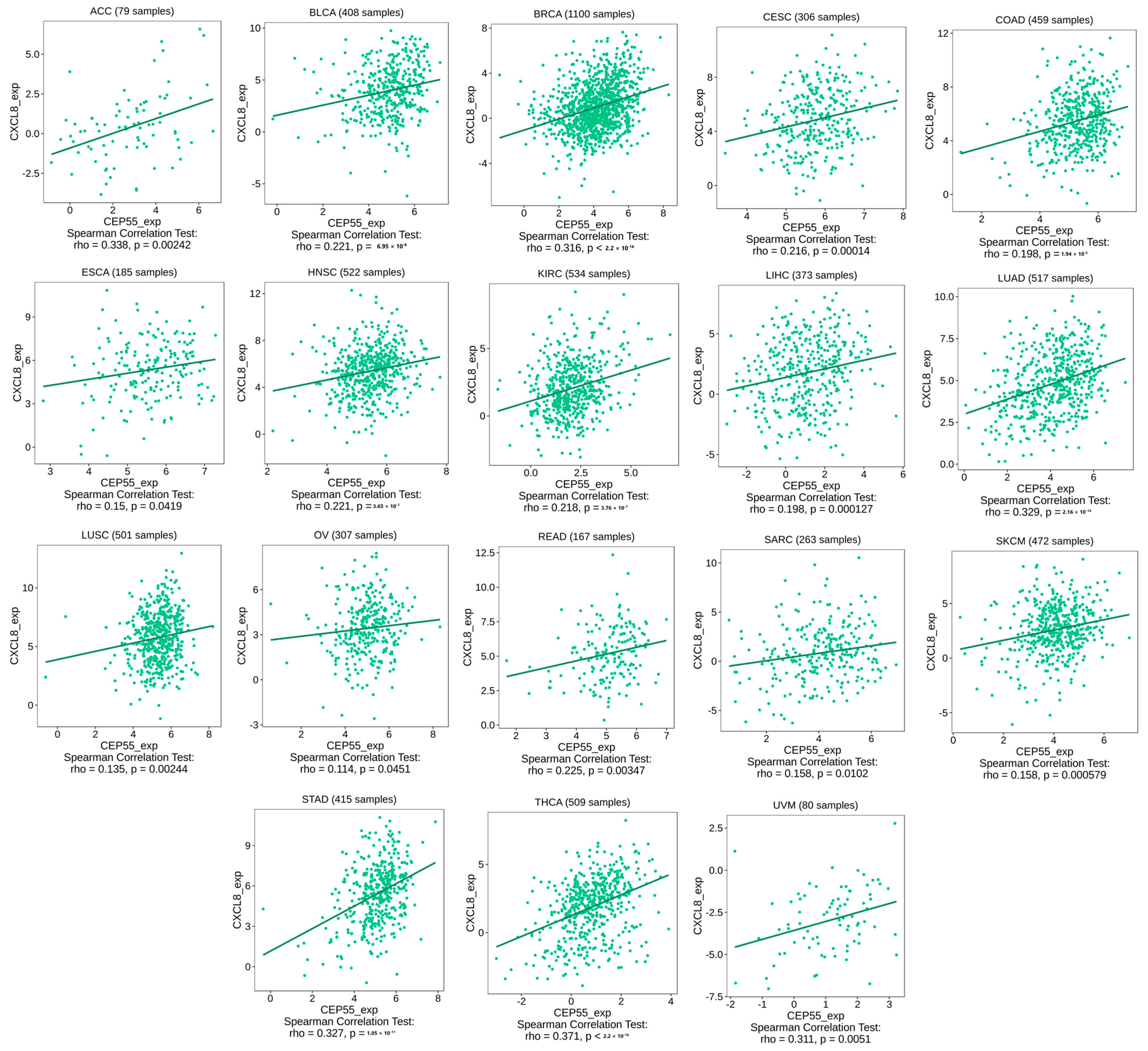 Diagnostics 13 01613 g008