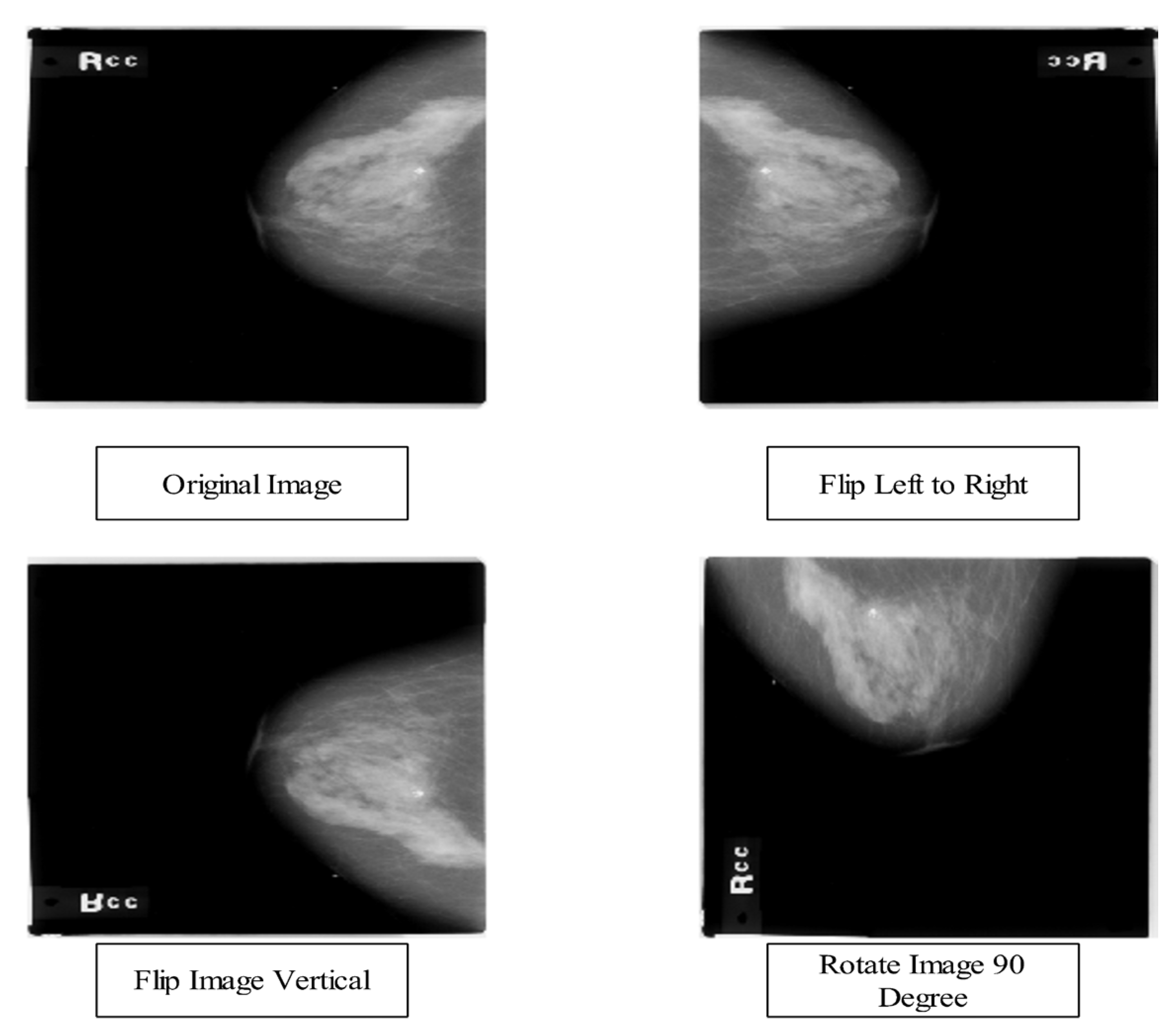 Diagnostics 13 01618 g002