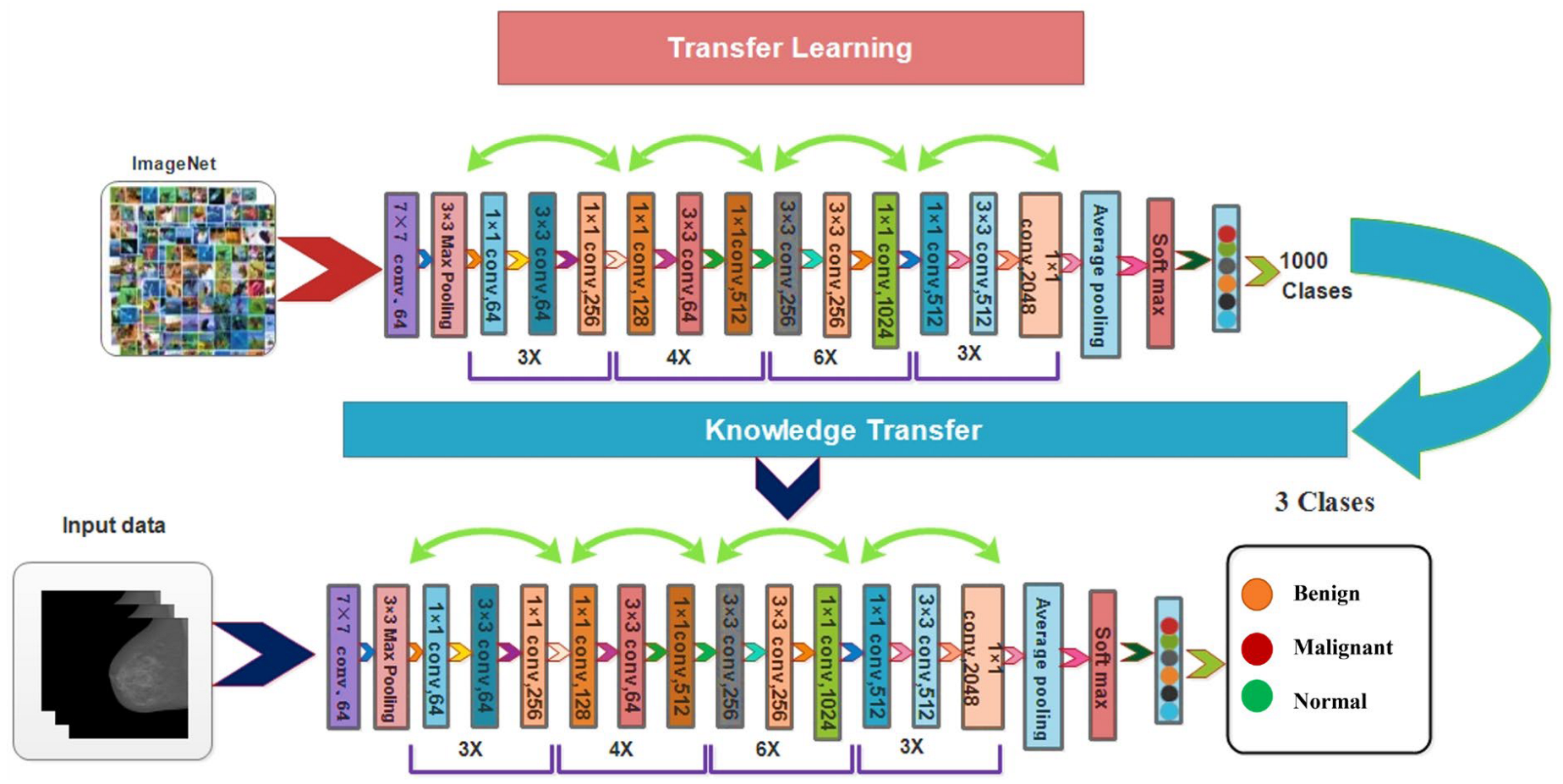 Diagnostics 13 01618 g006