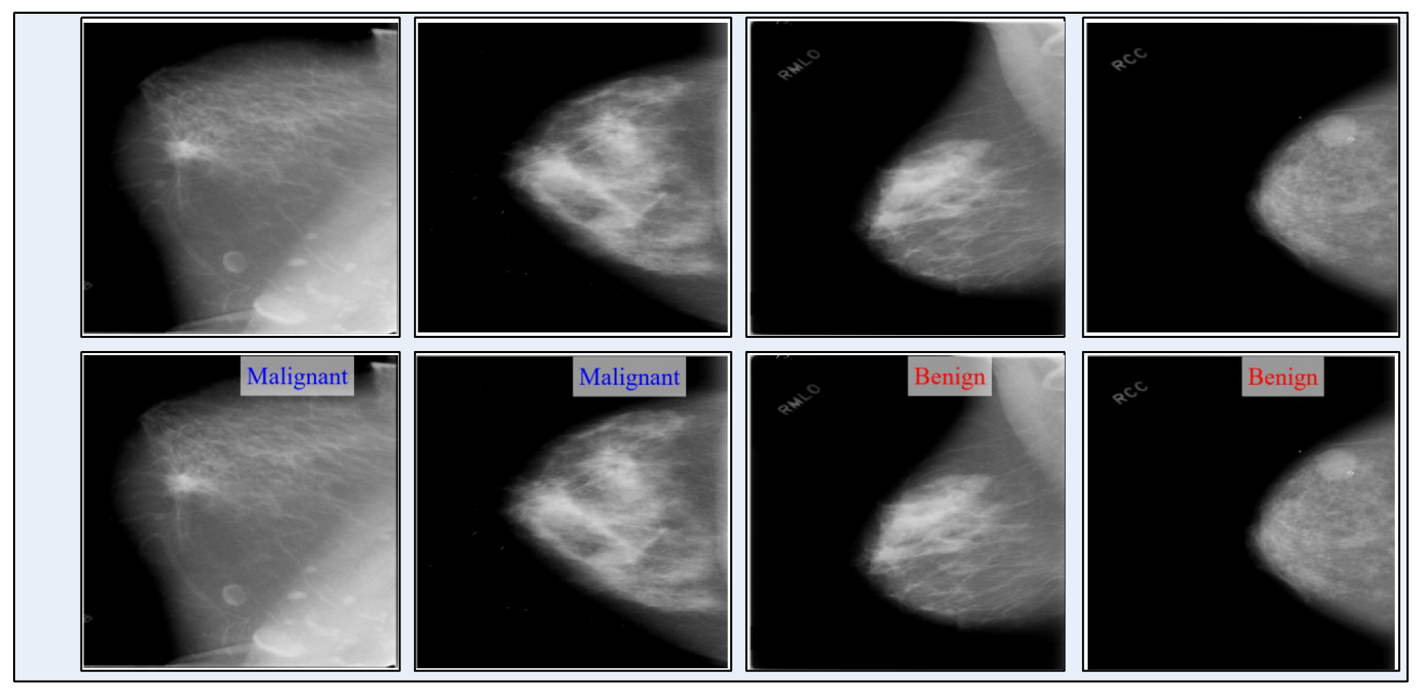 Diagnostics 13 01618 g019