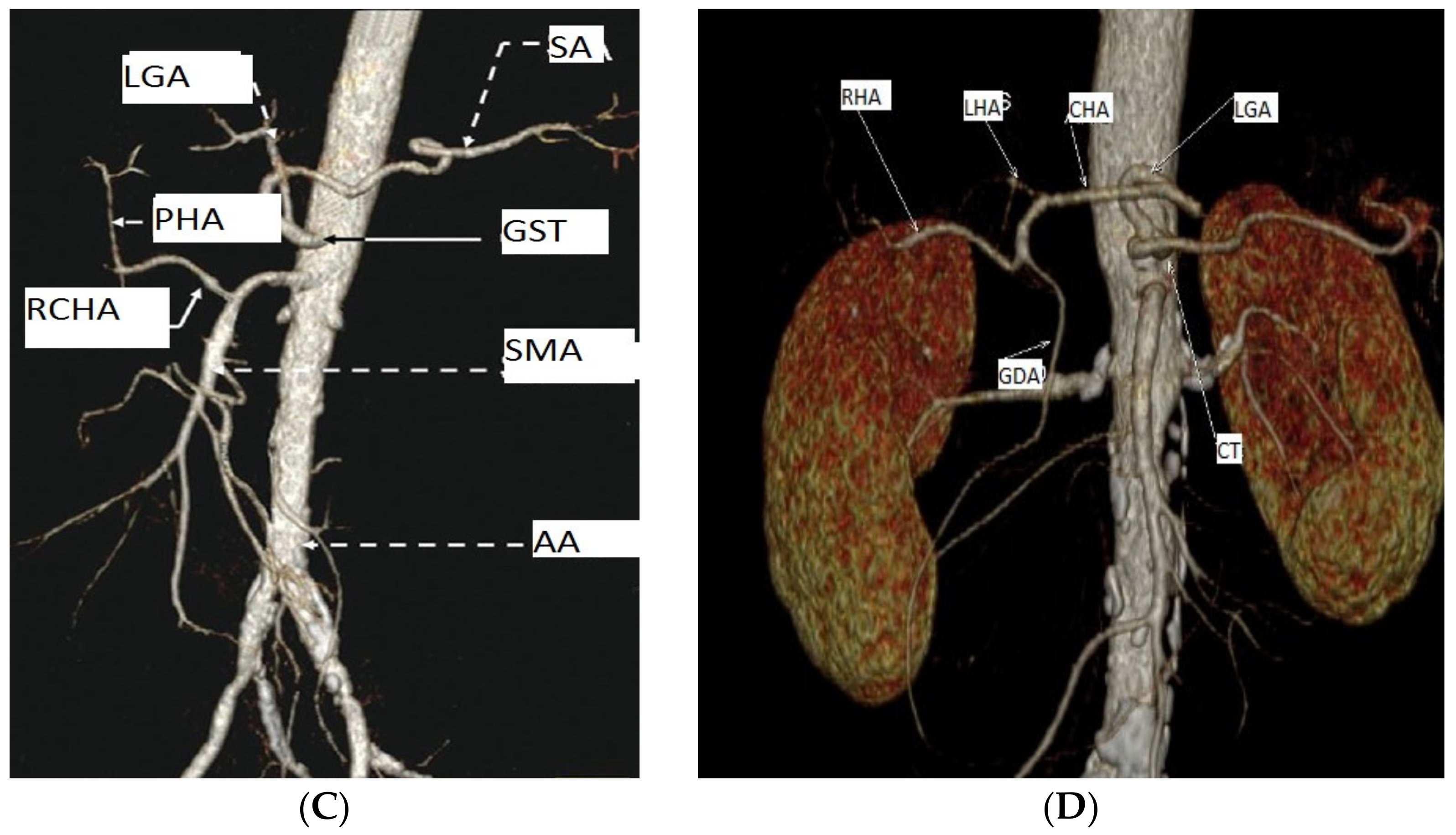 Diagnostics 13 01636 g001b