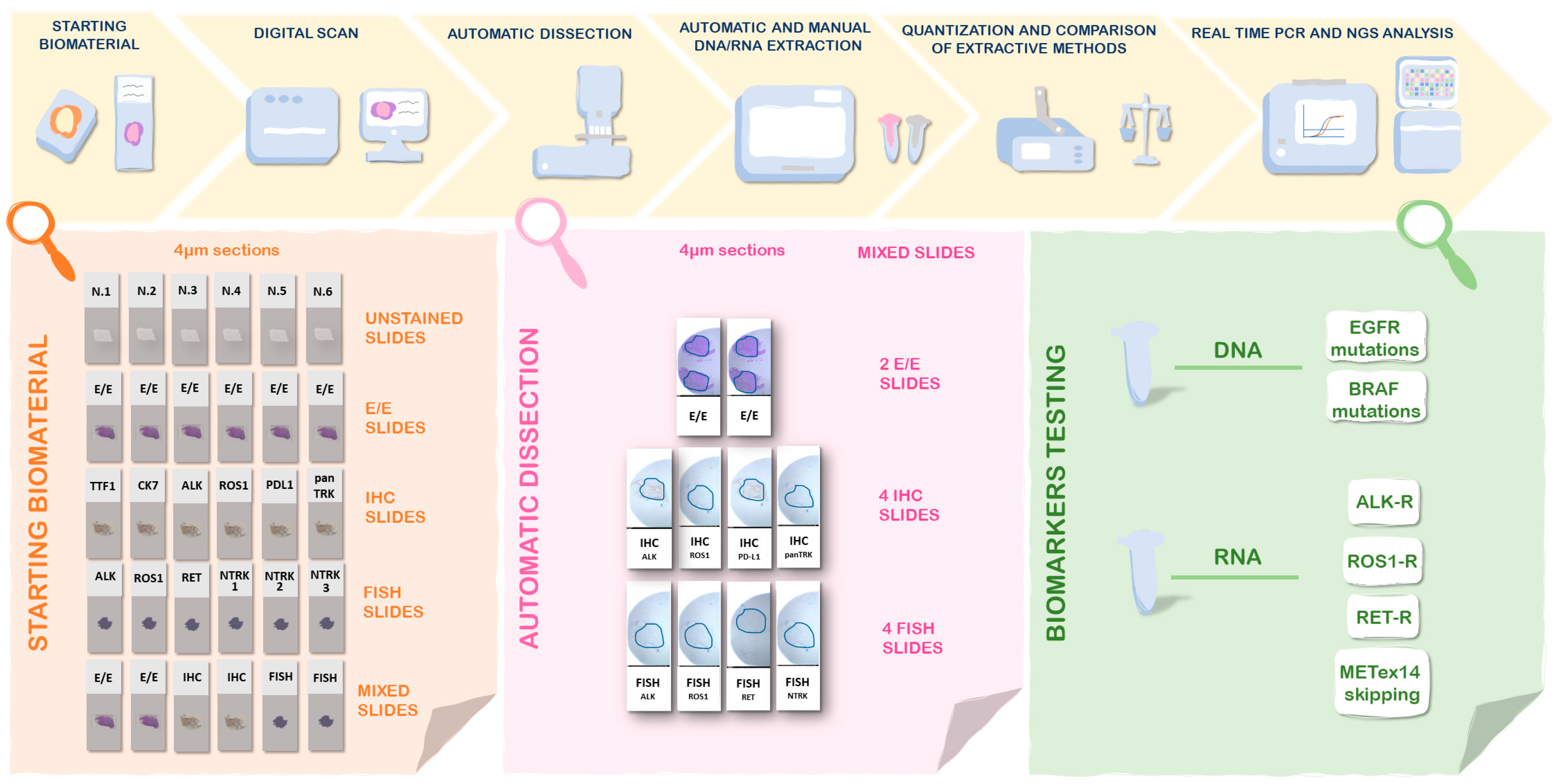 Diagnostics 13 01637 g001