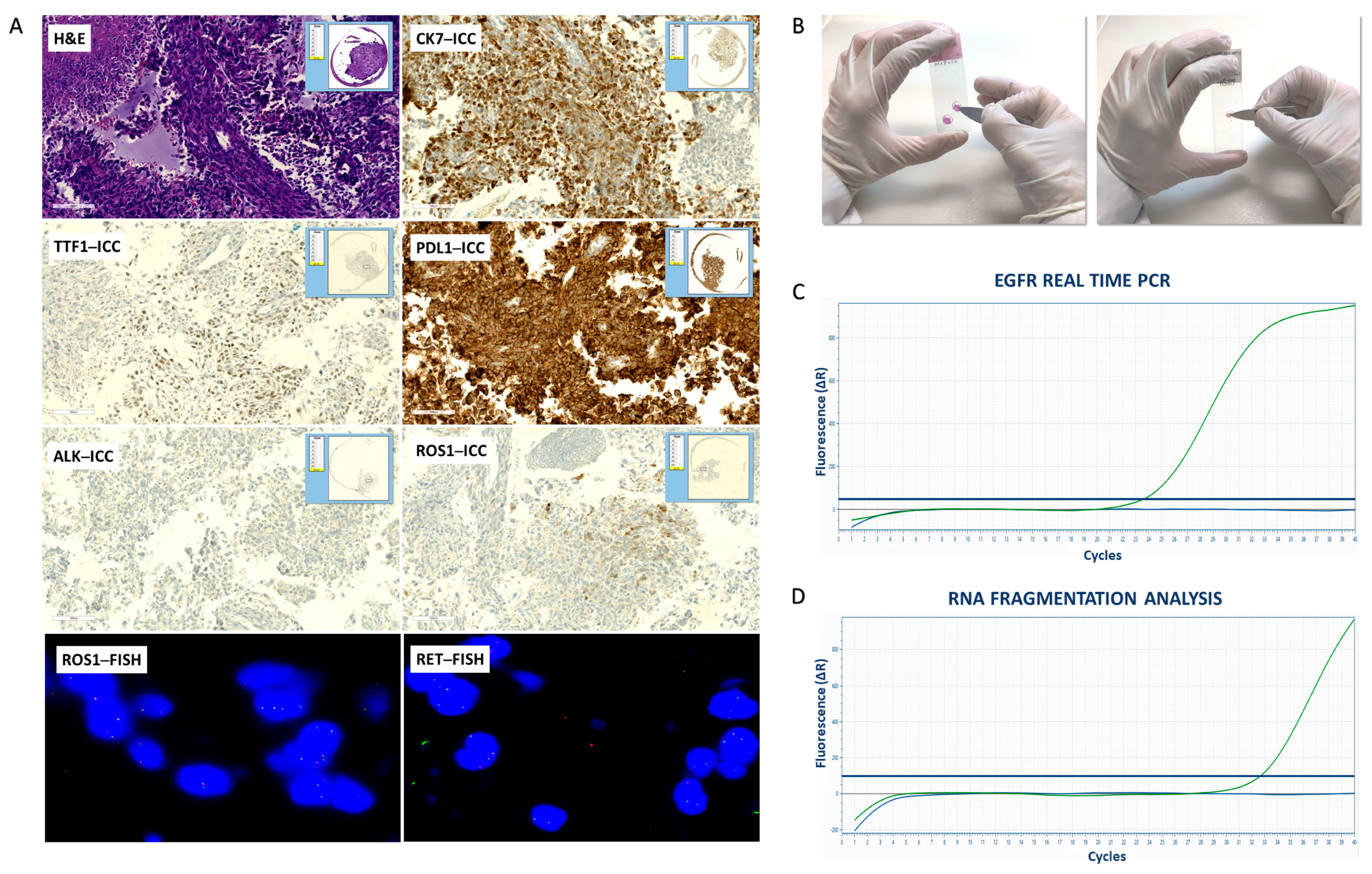 Diagnostics 13 01637 g003