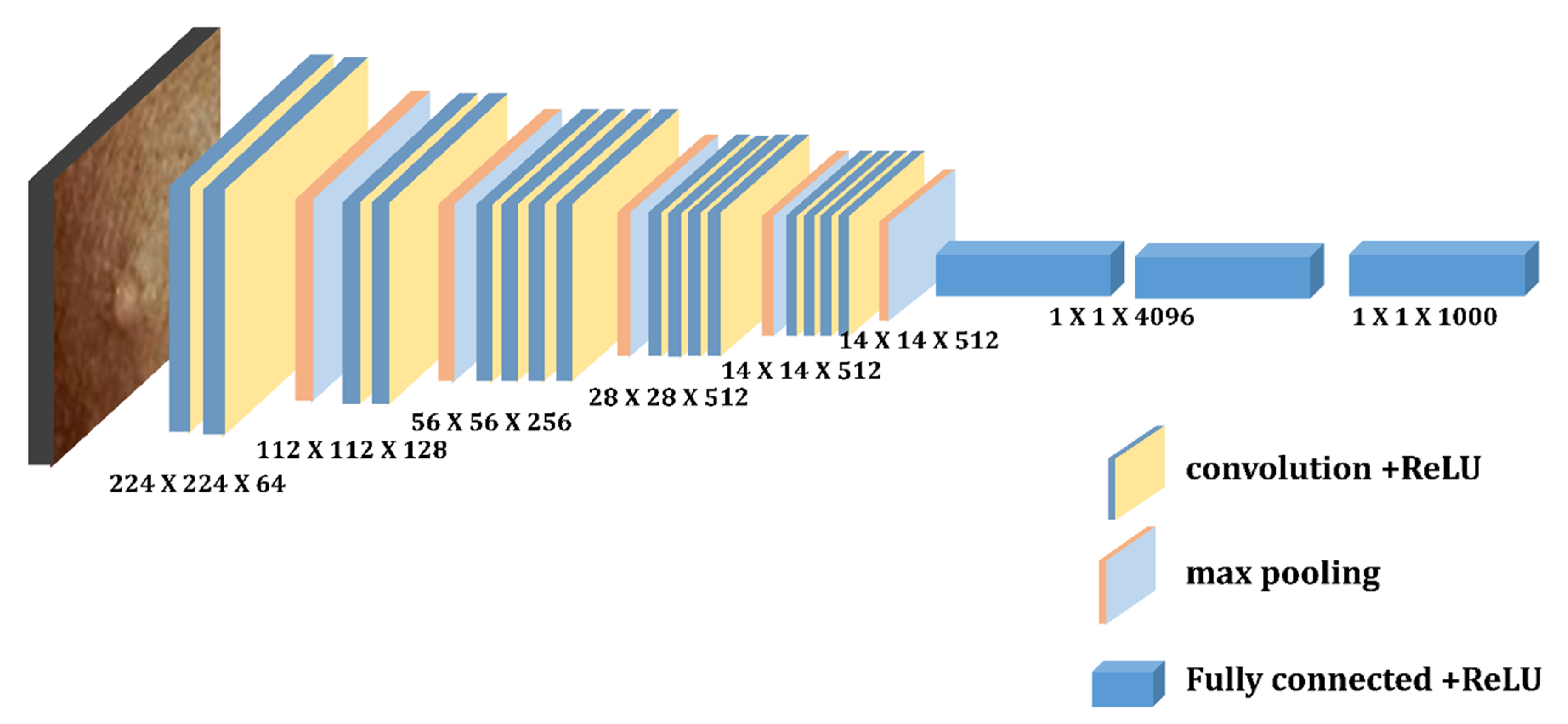 Diagnostics 13 01639 g006