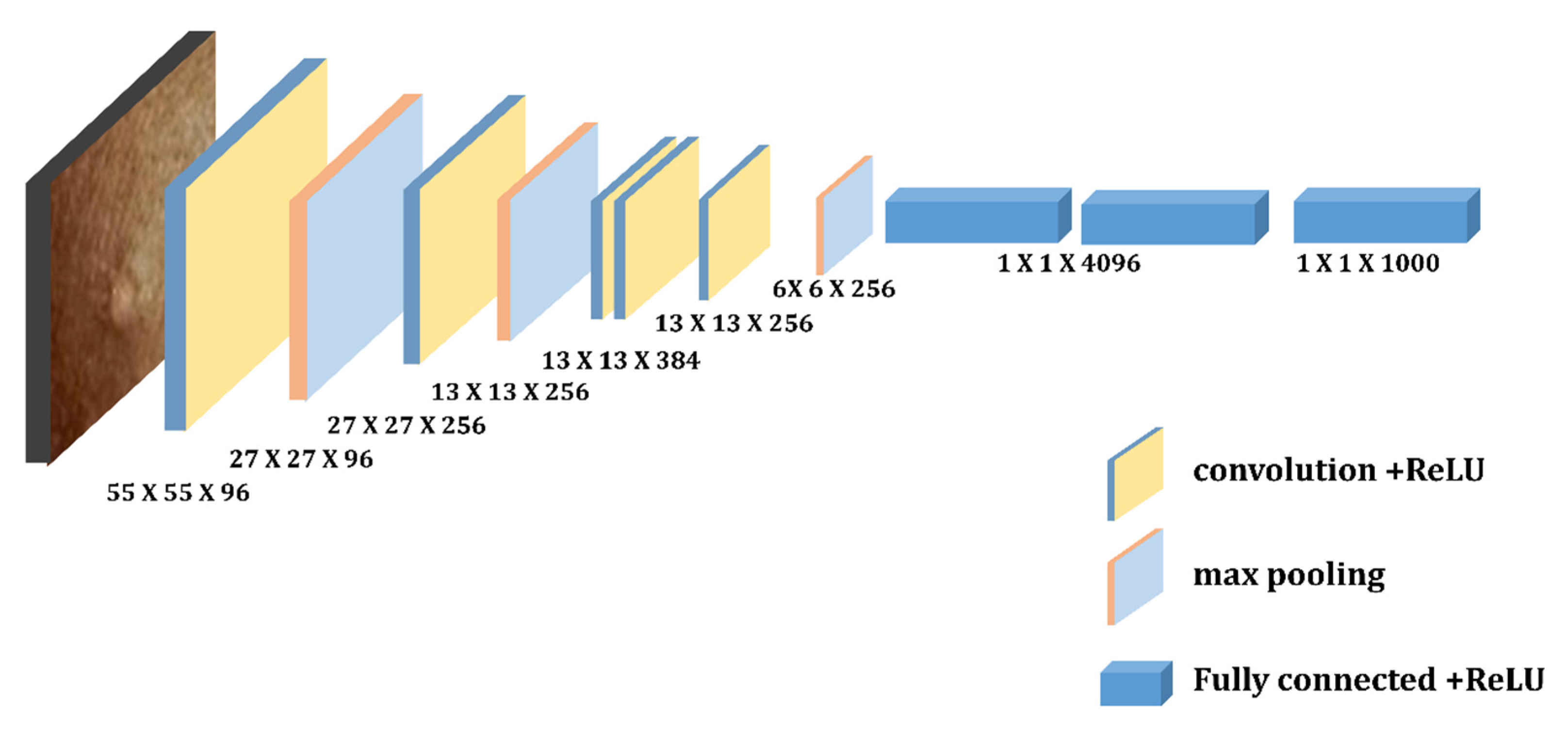 Diagnostics 13 01639 g010
