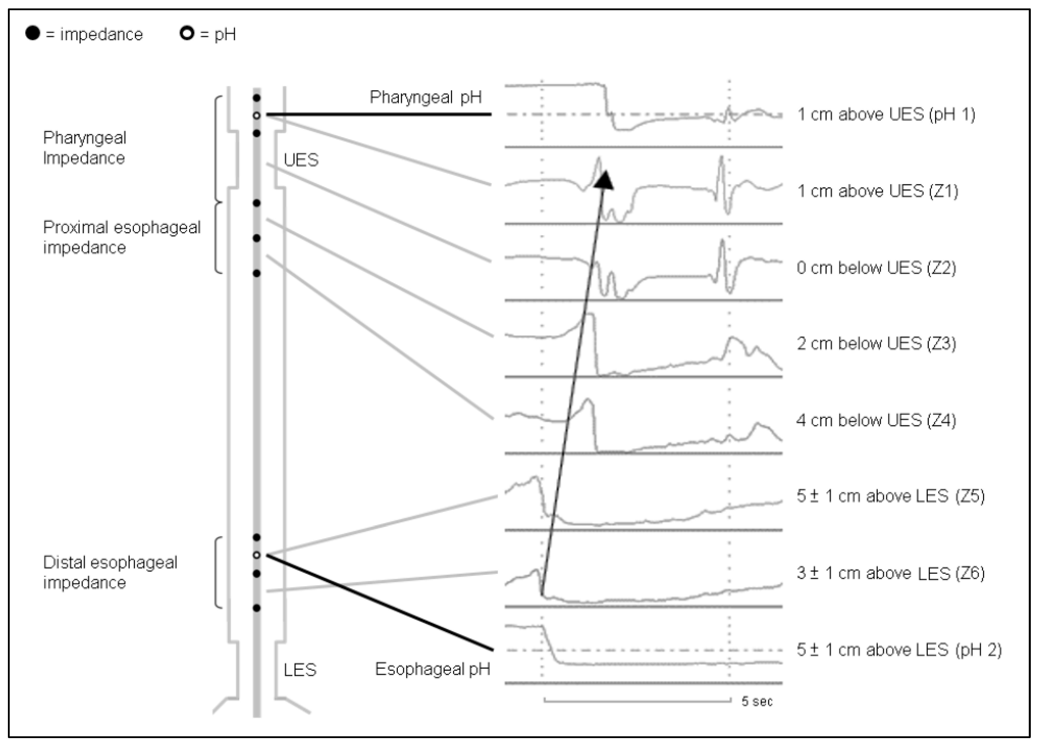 Diagnostics 13 01643 g002