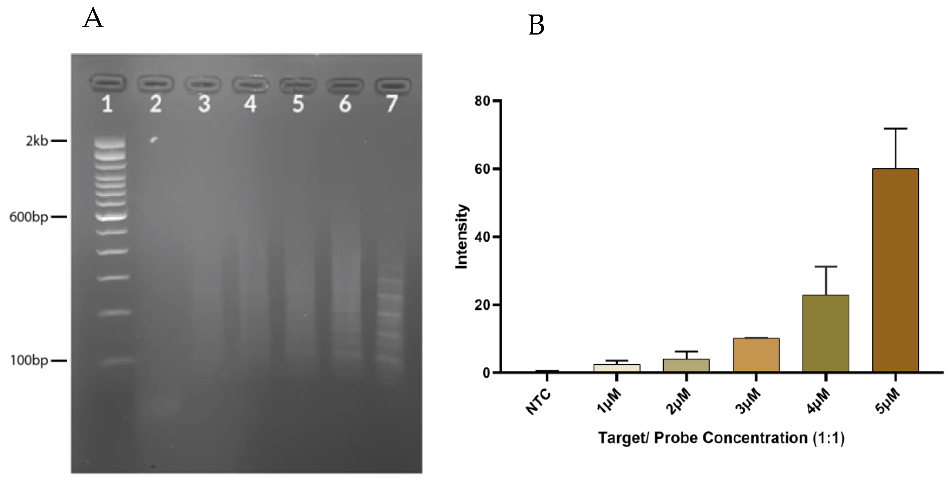 Diagnostics 13 01644 g001