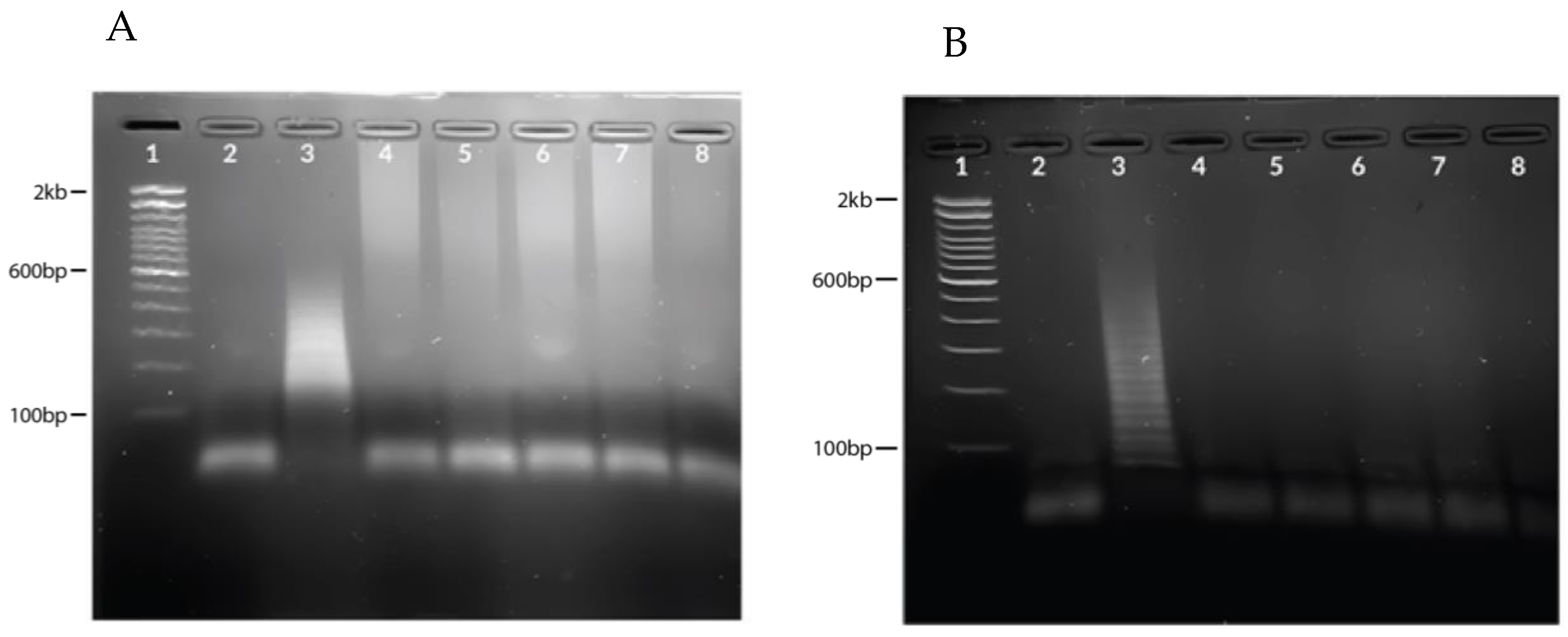 Diagnostics 13 01644 g004