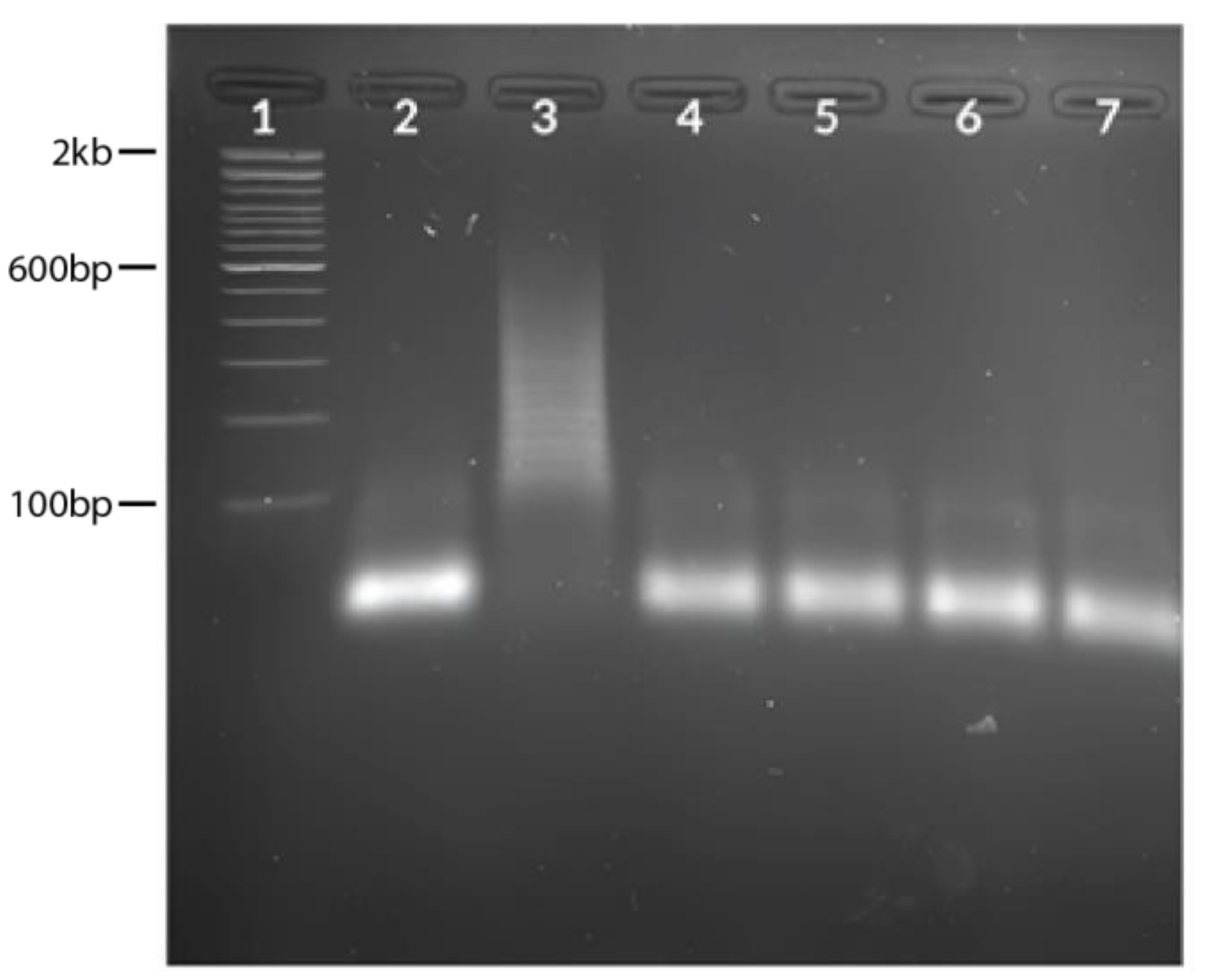 Diagnostics 13 01644 g005