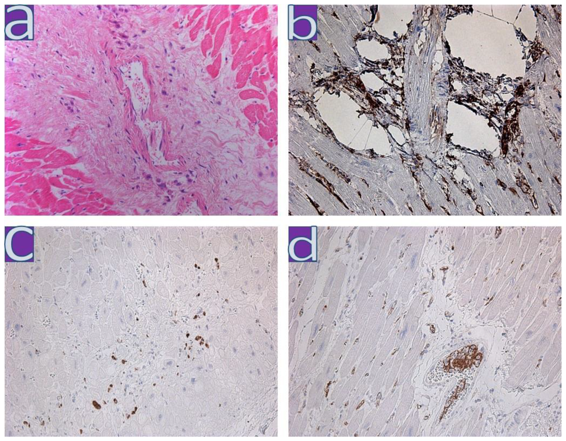 Diagnostics 13 01645 g001