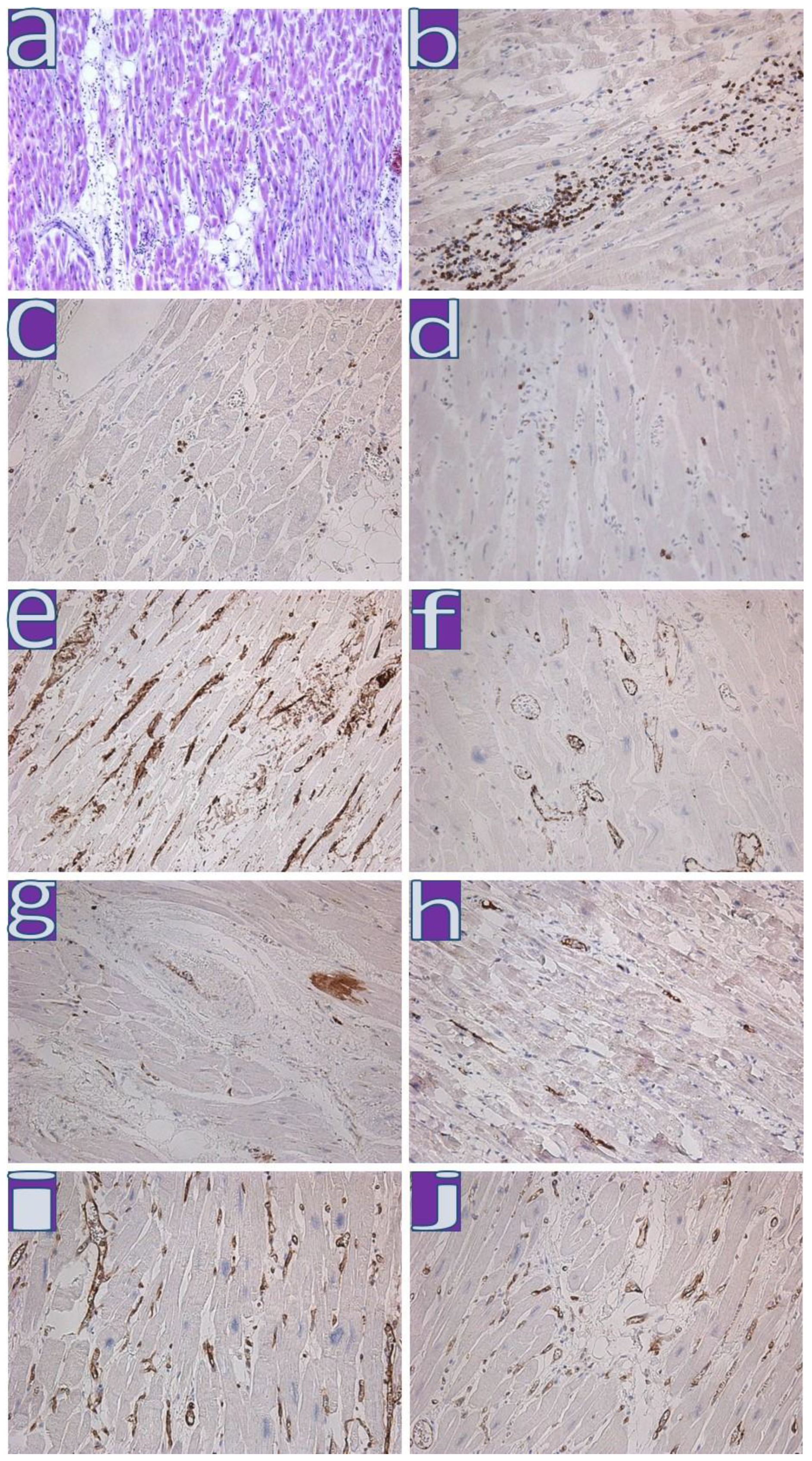 Diagnostics 13 01645 g002