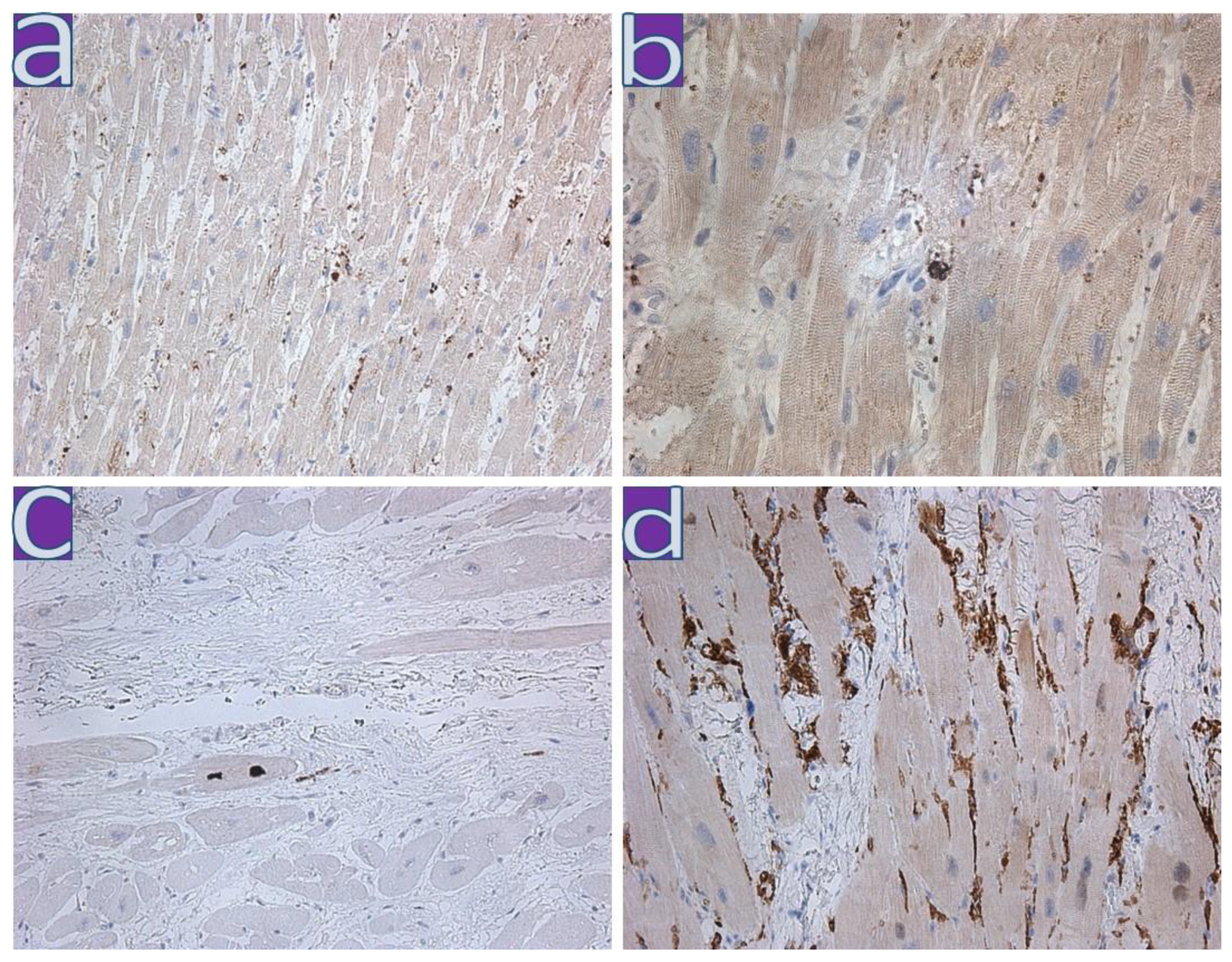 Diagnostics 13 01645 g003