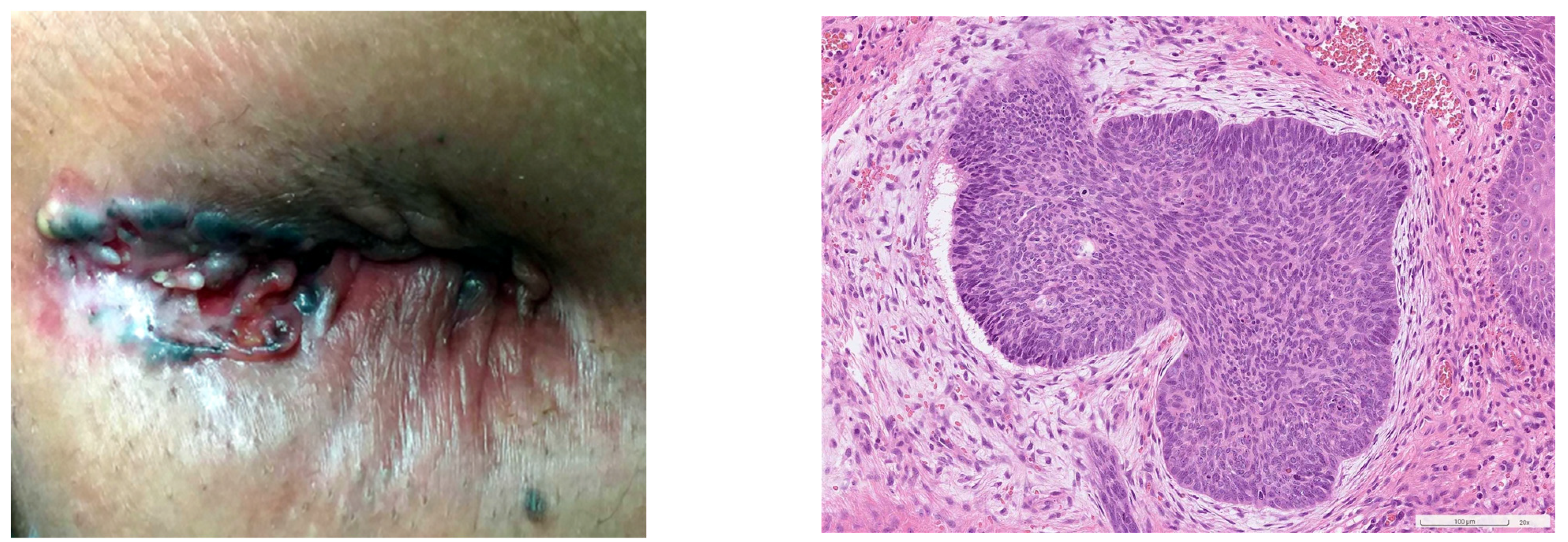 Diagnostics 13 01650 g004