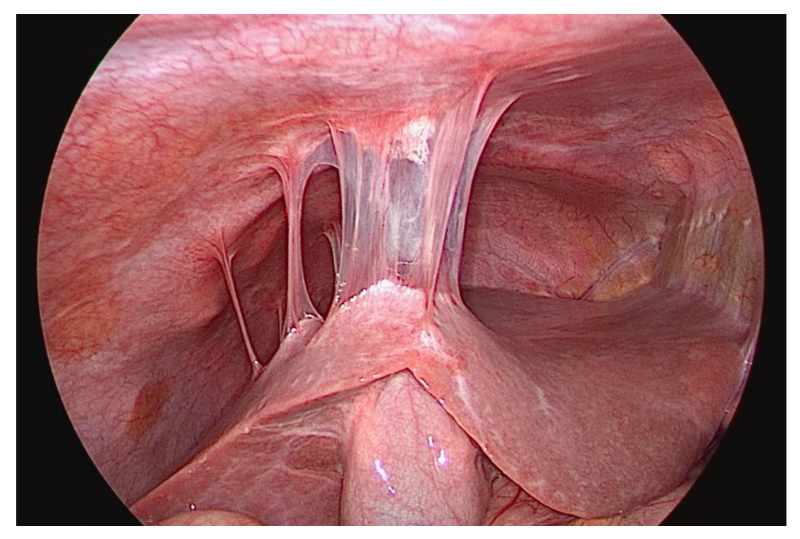 Diagnostics 13 01656 g007