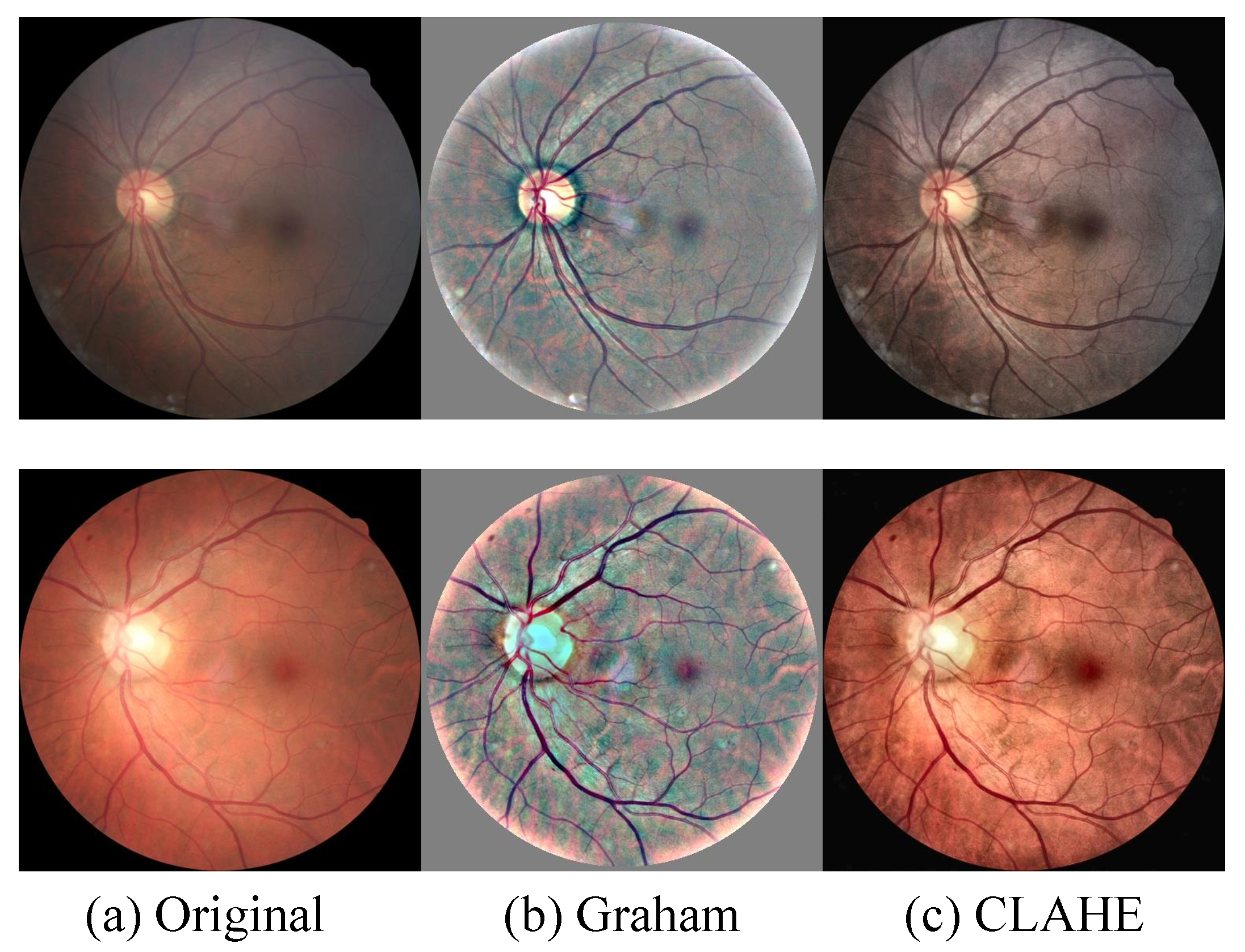 Diagnostics 13 01664 g005
