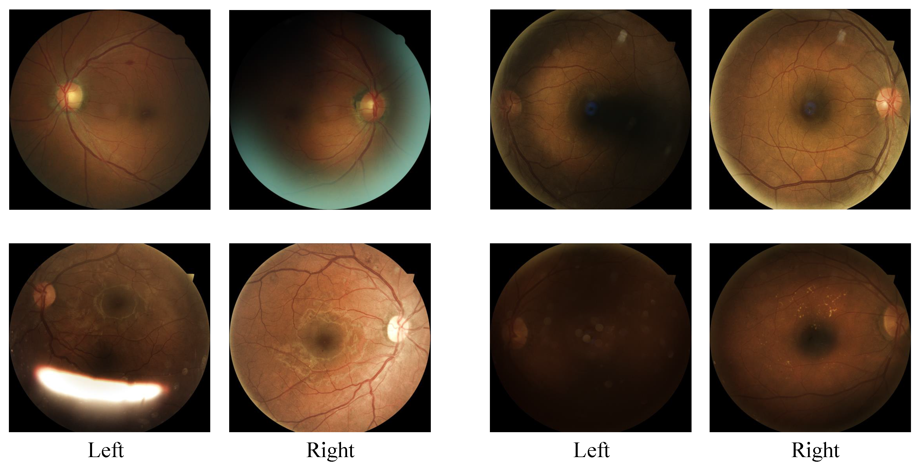 Diagnostics 13 01664 g006