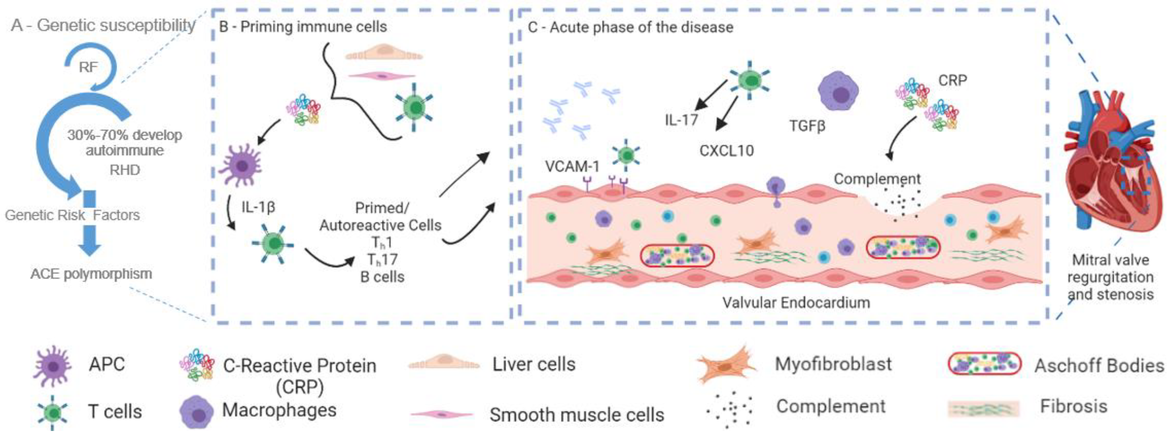 Diagnostics 13 01672 g002